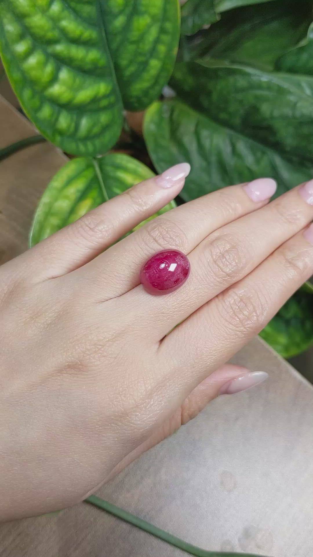 18.17 Ct. Cabochon Ruby from Burma (Myanmar) Size Video