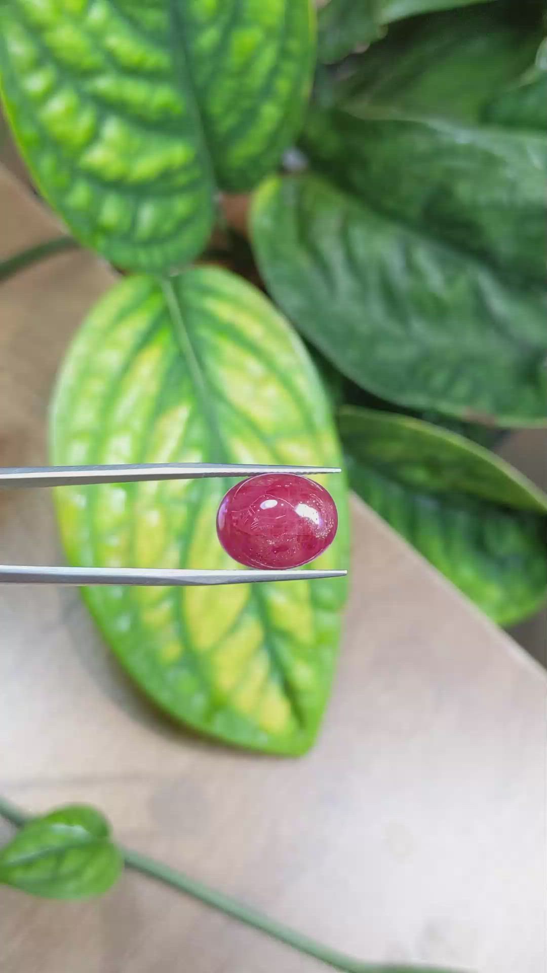 18.17 Ct. Cabochon Ruby from Burma (Myanmar) Size Video