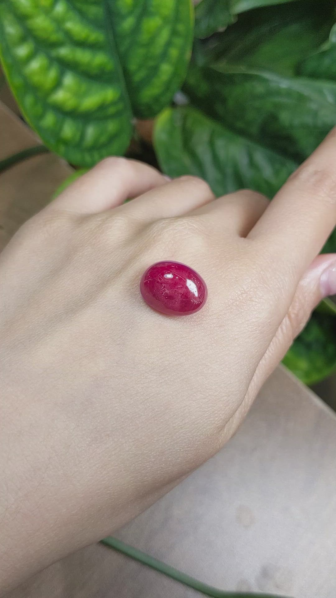 18.17 Ct. Cabochon Ruby from Burma (Myanmar) Size Video