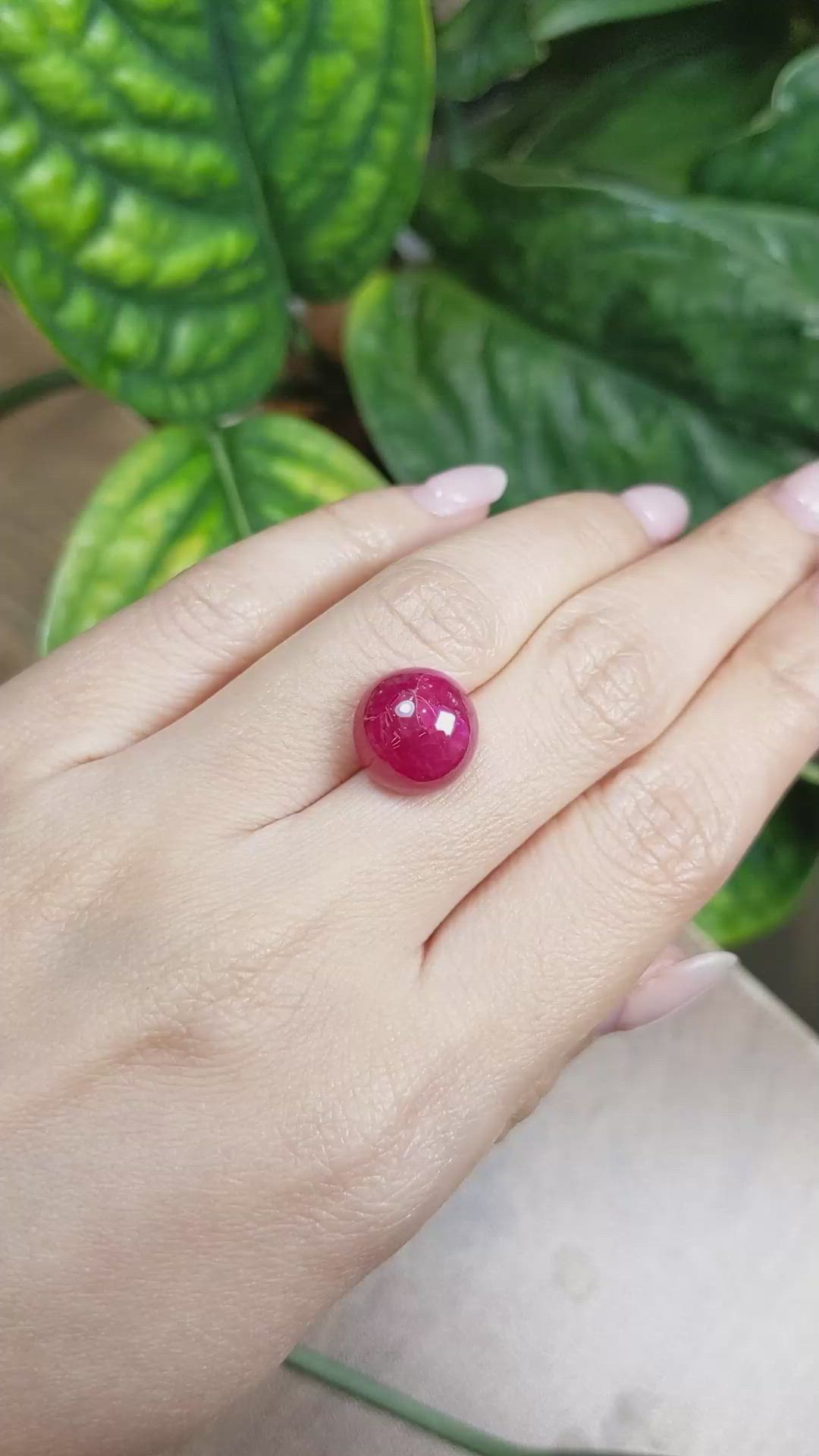 13.15 Ct. Cabochon Ruby from Burma (Myanmar) Size Video