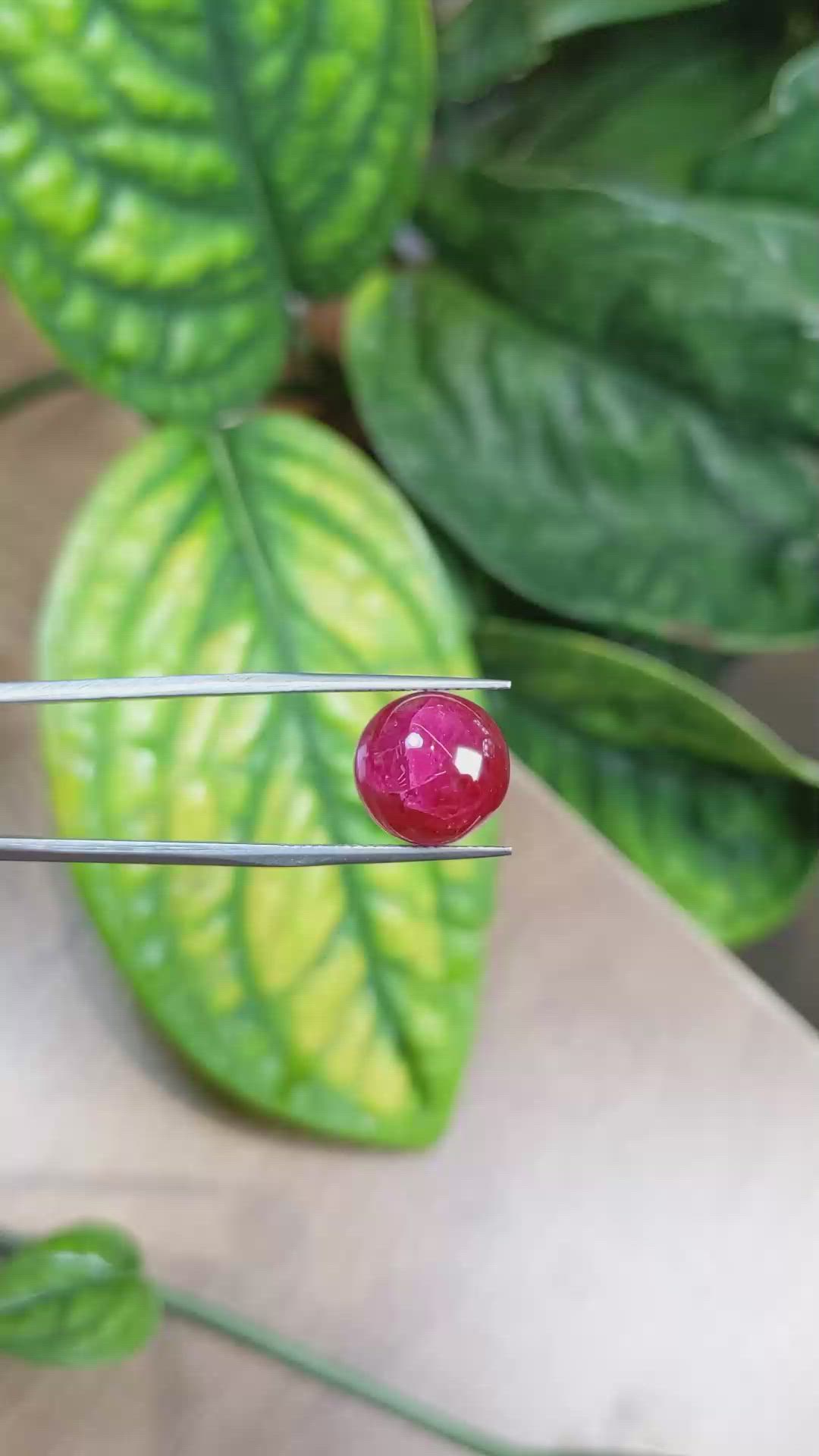 13.15 Ct. Cabochon Ruby from Burma (Myanmar) Size Video