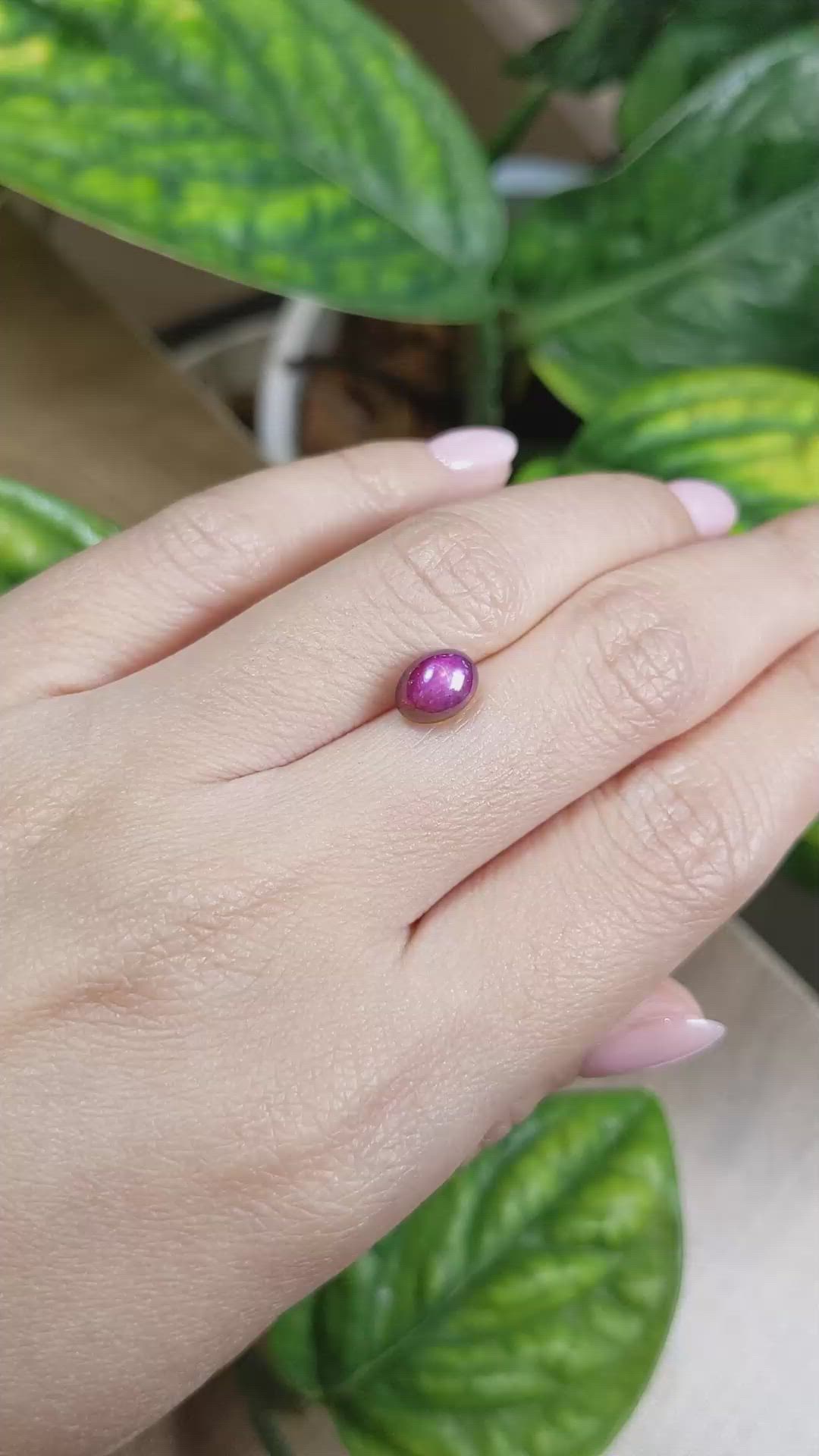 2.71 Ct. Star Ruby from Burma (Myanmar) Size Video