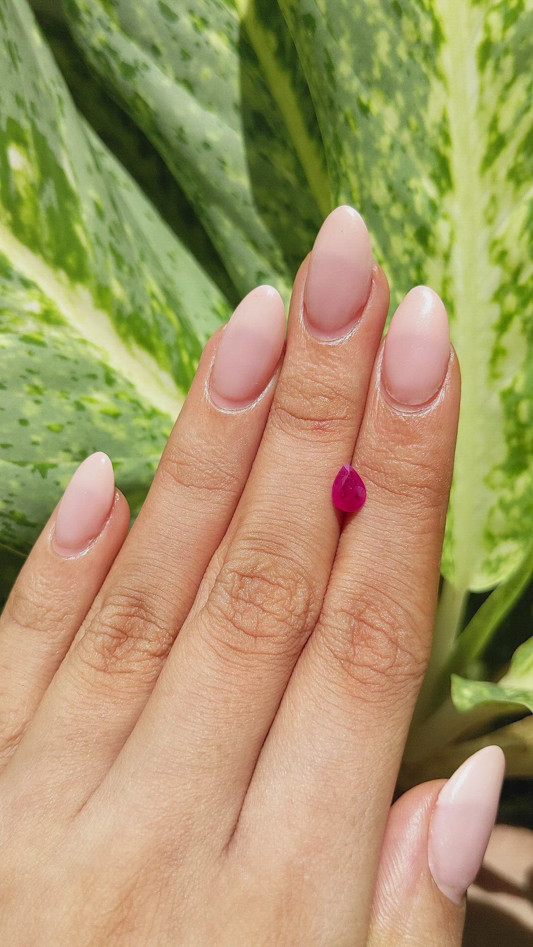 0.74 Ct. Ruby from Ceylon (Sri Lanka) Size Video