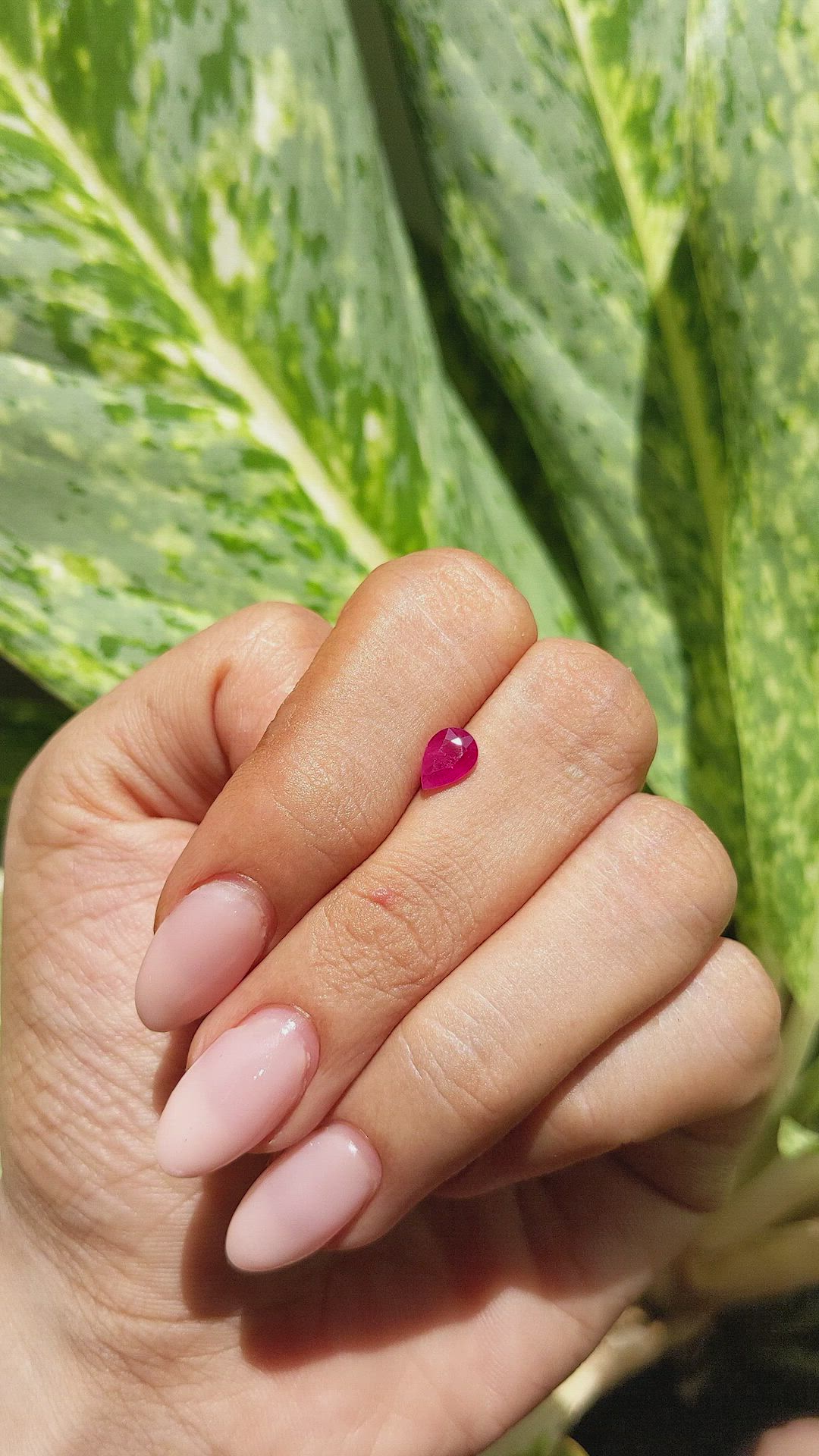 0.74 Ct. Ruby from Ceylon (Sri Lanka) Size Video