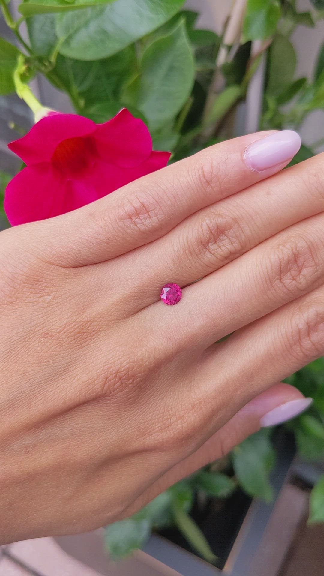 0.75 Ct. Ruby from Mozambique Size Video