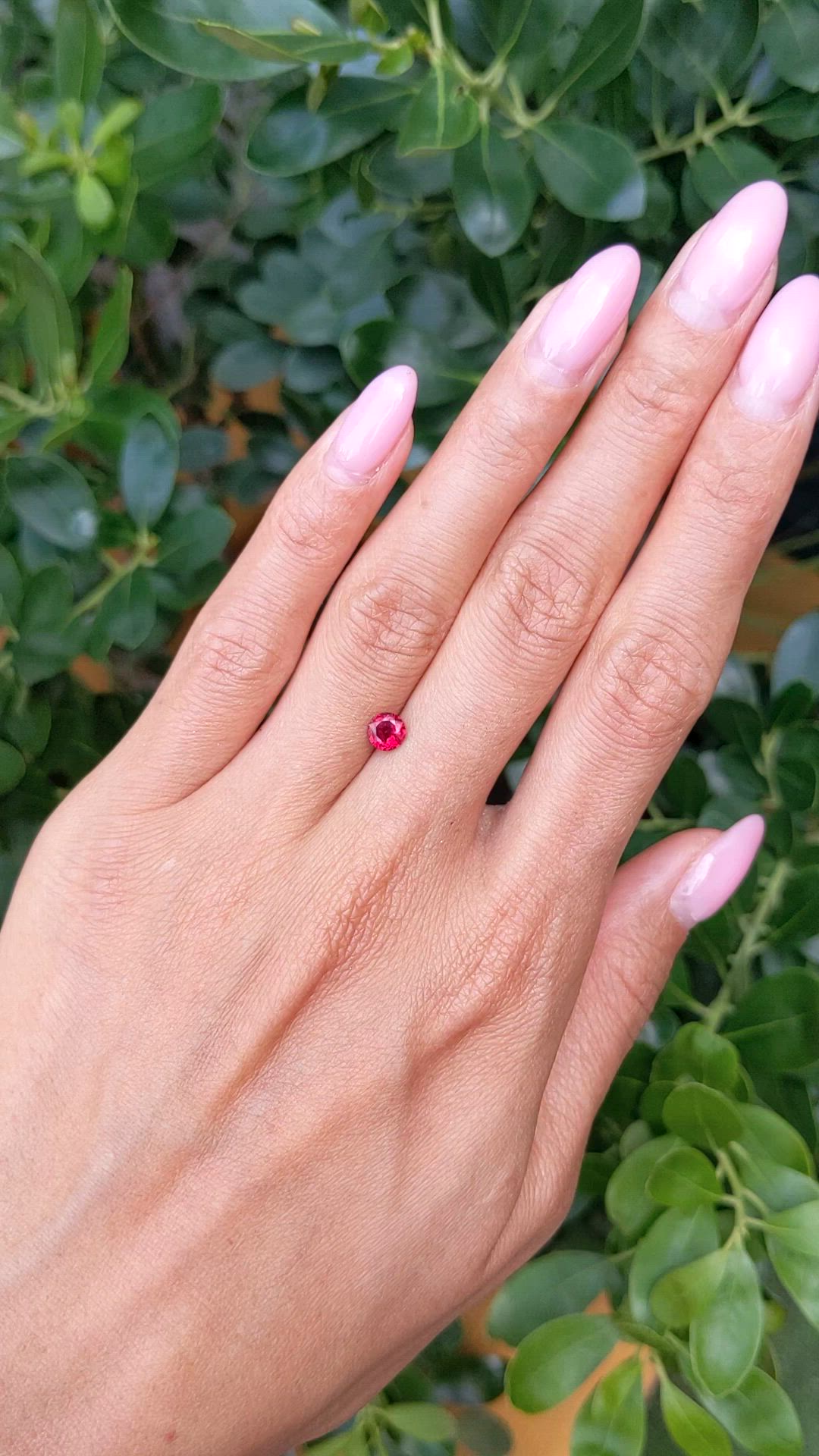 0.56 Ct. Ruby from Mozambique Size Video