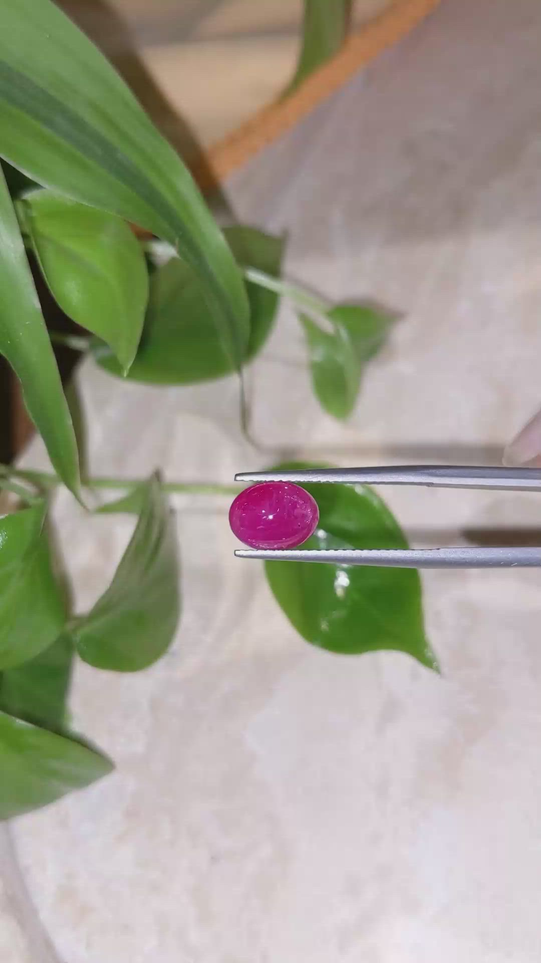 2.70 Ct. Cabochon Ruby from Burma (Myanmar) Size Video