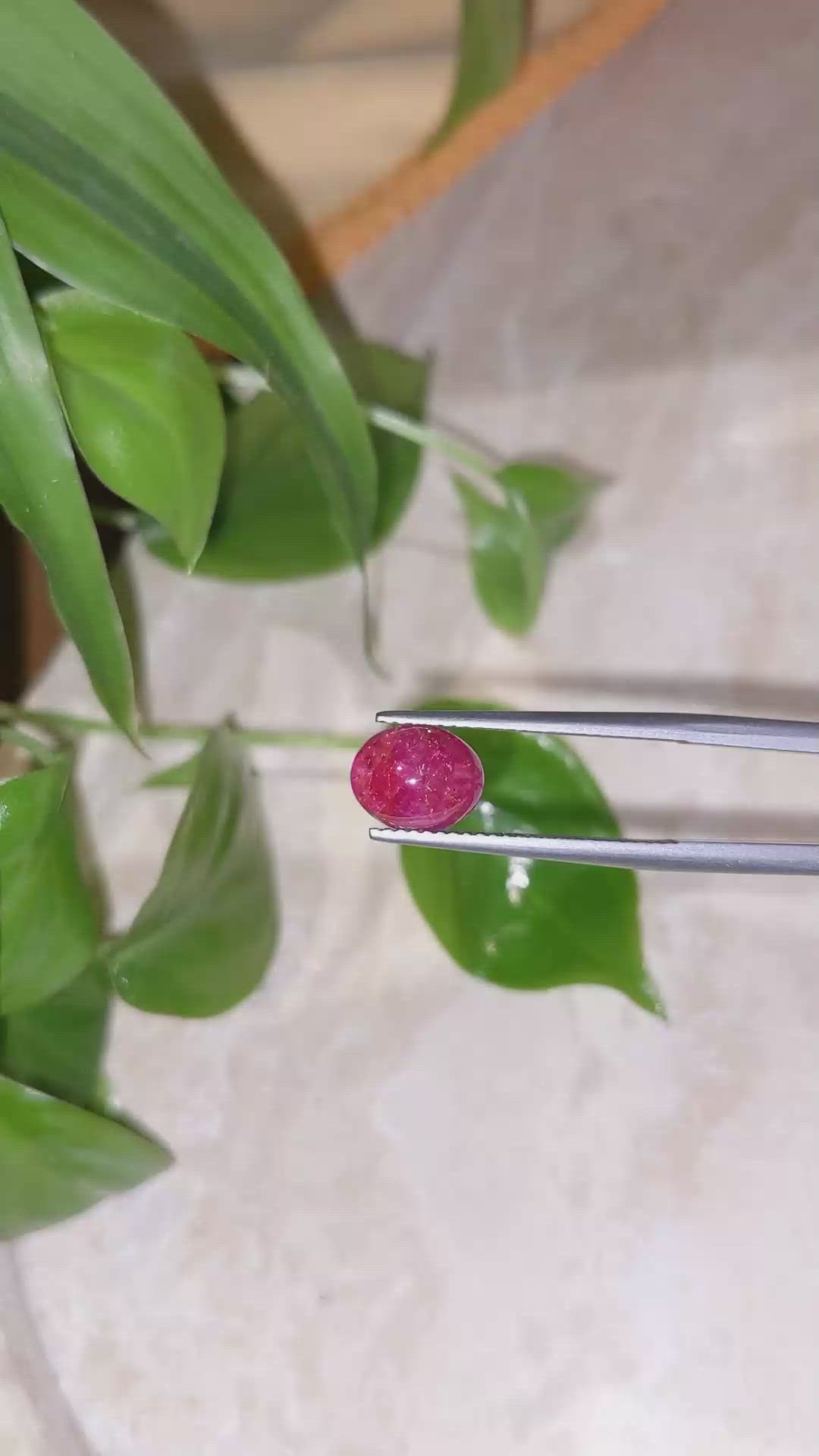 2.45 Ct. Cabochon Ruby from Burma (Myanmar) Size Video