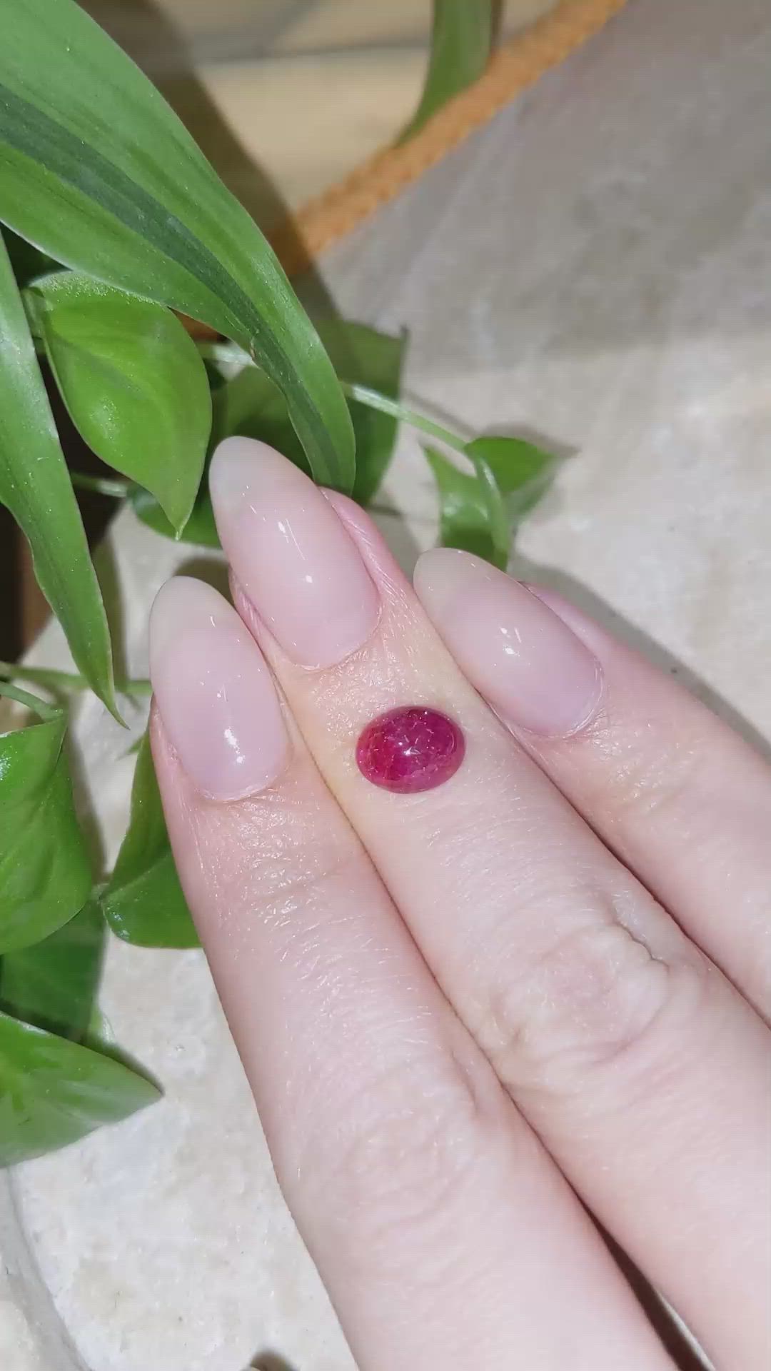 2.45 Ct. Cabochon Ruby from Burma (Myanmar) Size Video