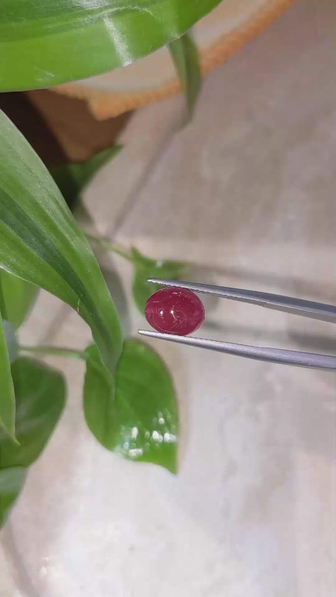 4.09 Ct. Cabochon Ruby from Burma (Myanmar) Size Video