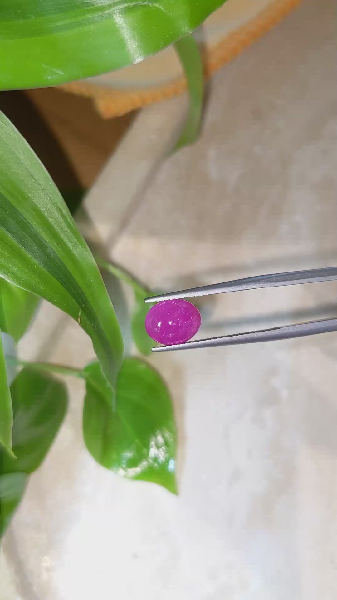 2.43 Ct. Cabochon Ruby from Burma (Myanmar) Size Video