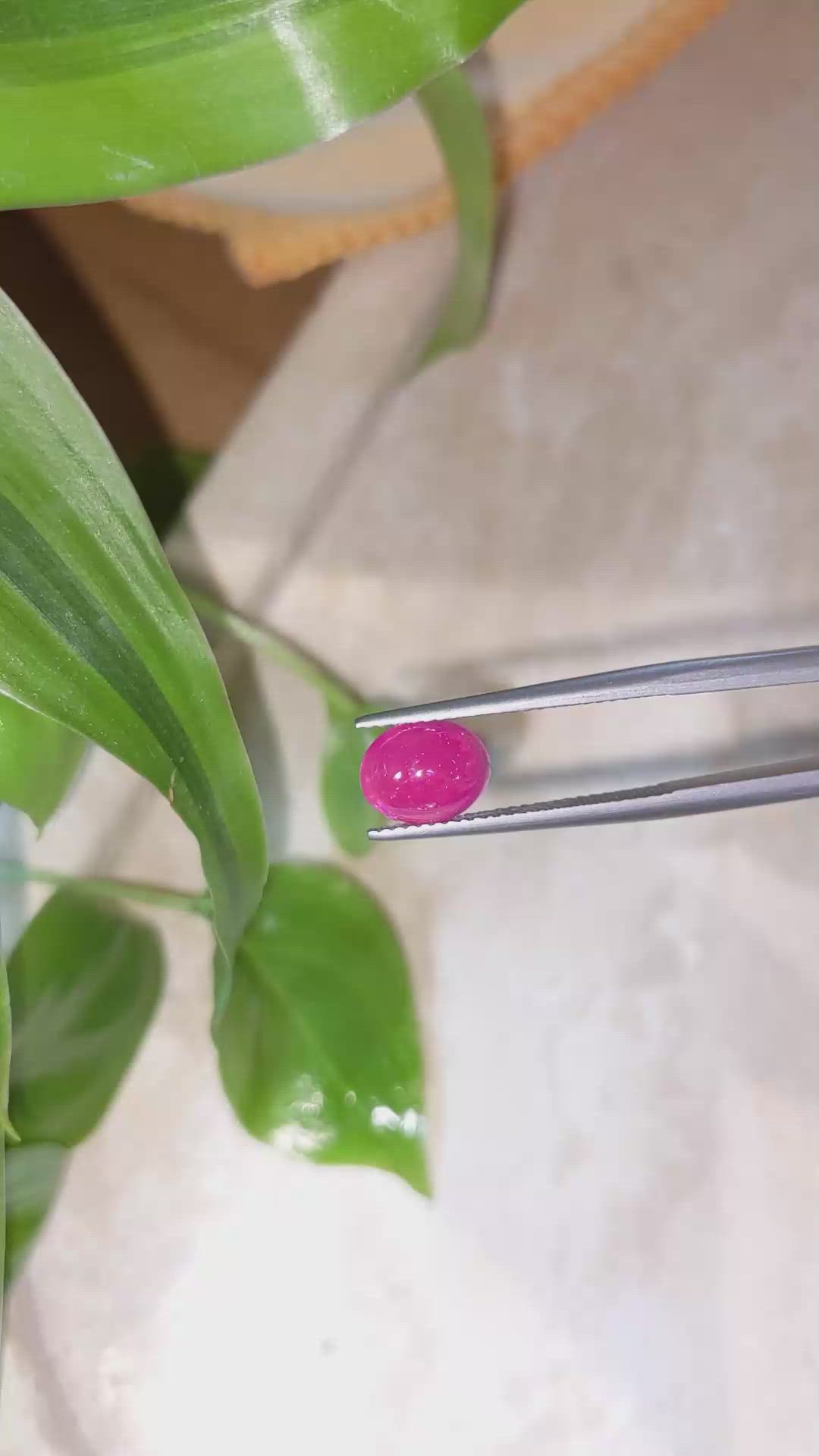 2.29 Ct. Cabochon Ruby from Burma (Myanmar) Size Video