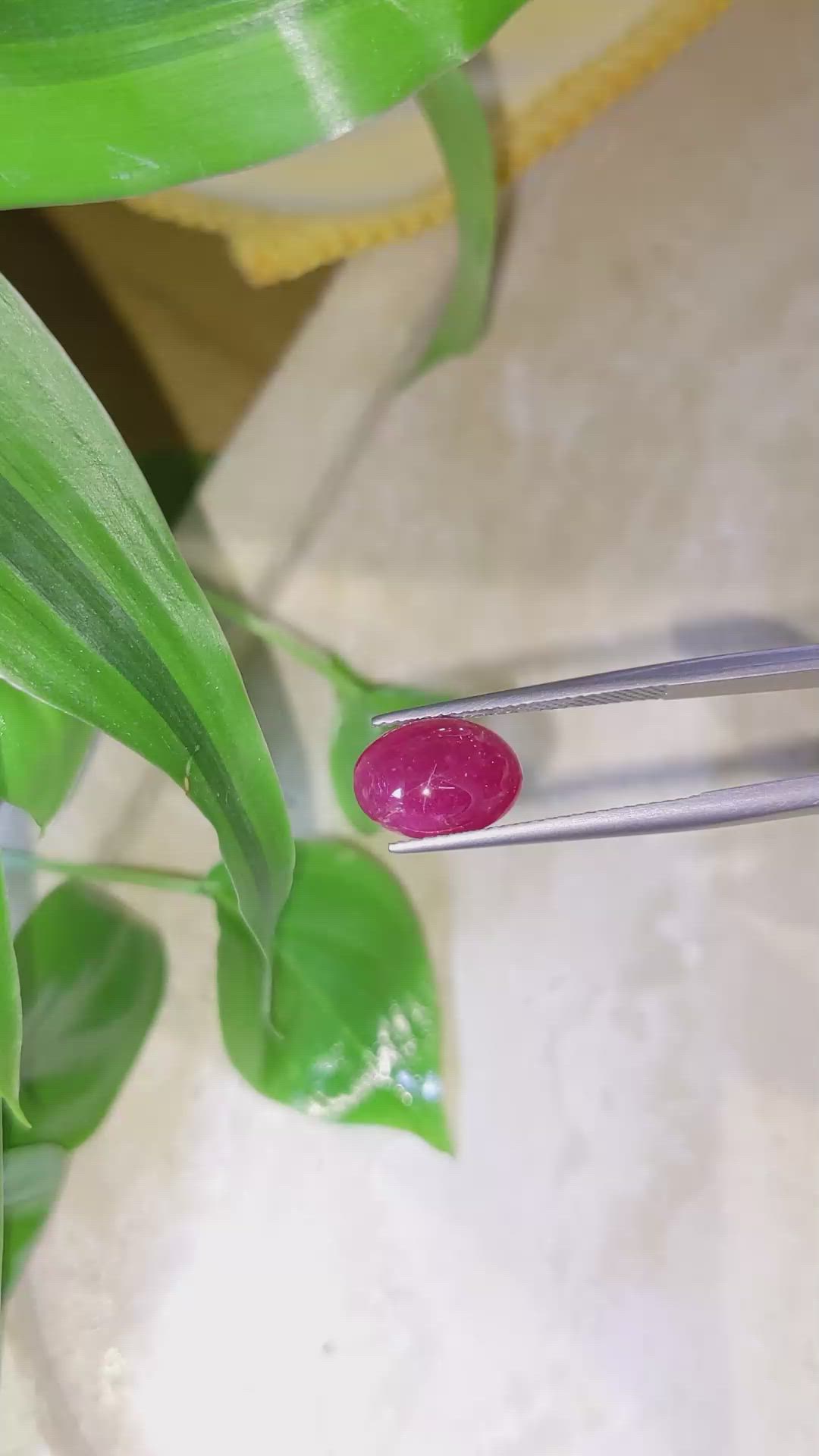 4.20 Ct. Cabochon Ruby from Burma (Myanmar) Size Video