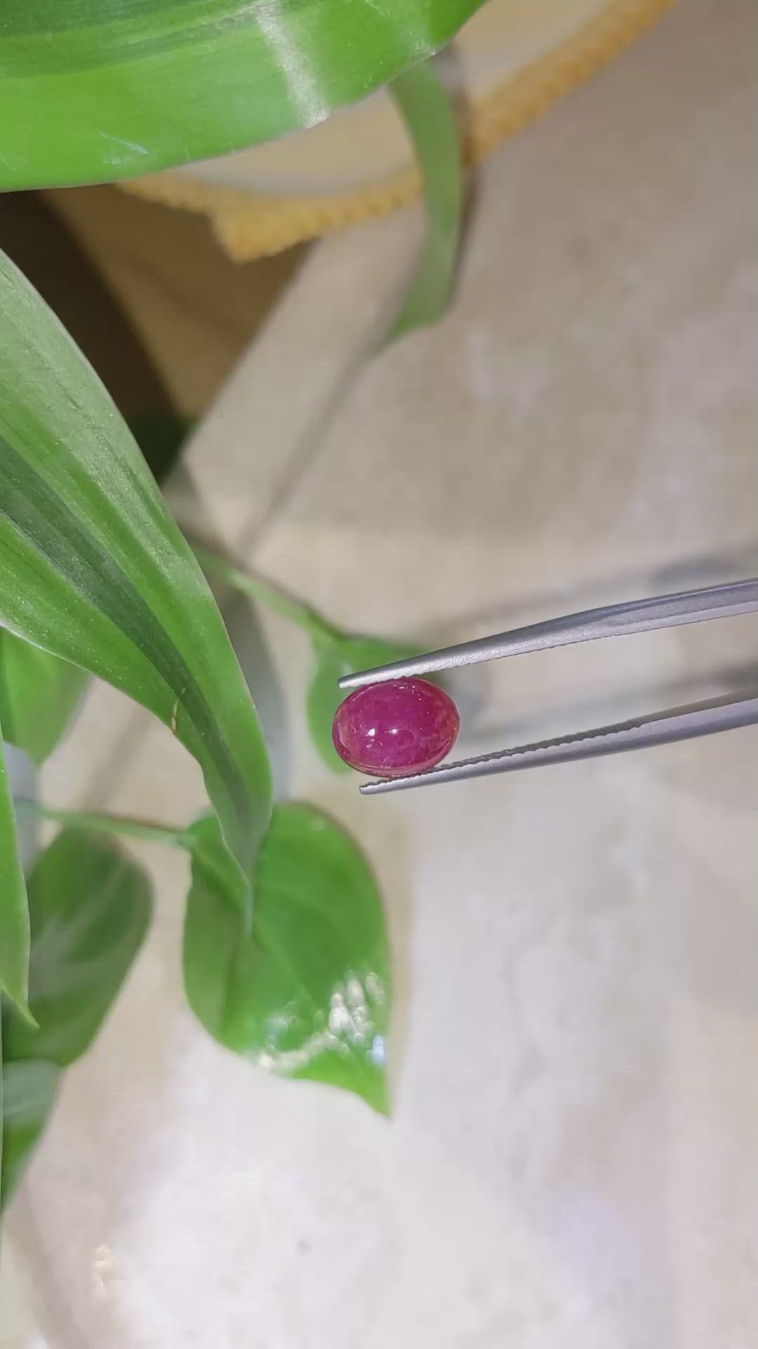 3.00 Ct. Cabochon Ruby from Burma (Myanmar) Size Video