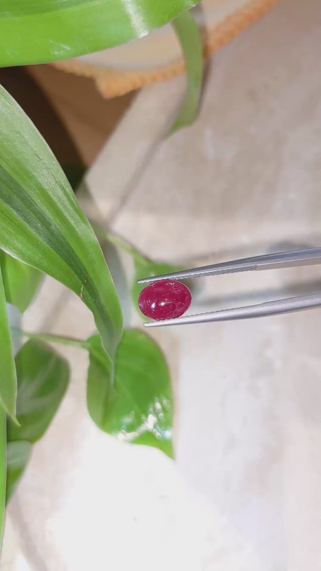 2.24 Ct. Cabochon Ruby from Burma (Myanmar) Size Video