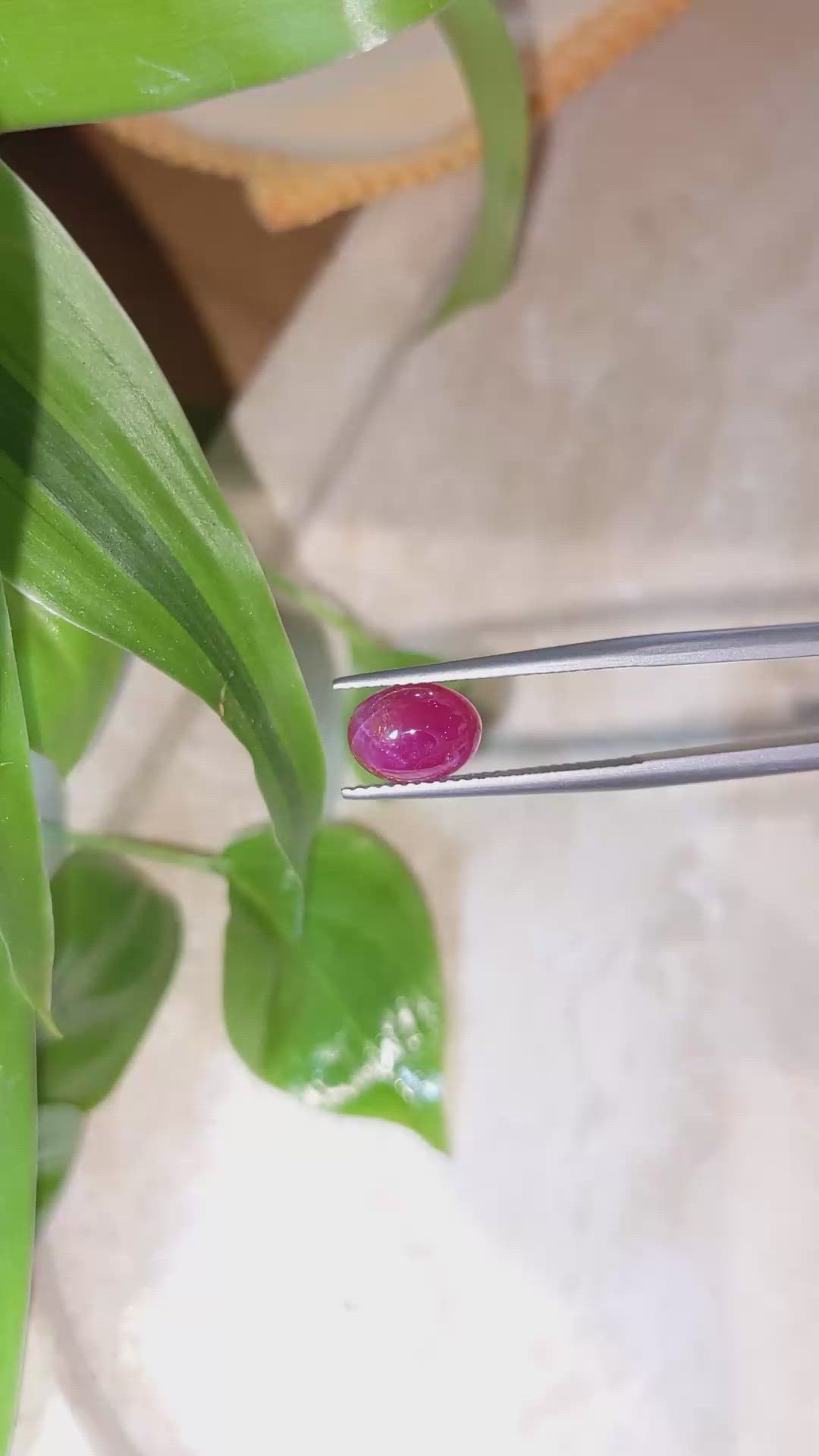 2.76 Ct. Cabochon Ruby from Burma (Myanmar) Size Video