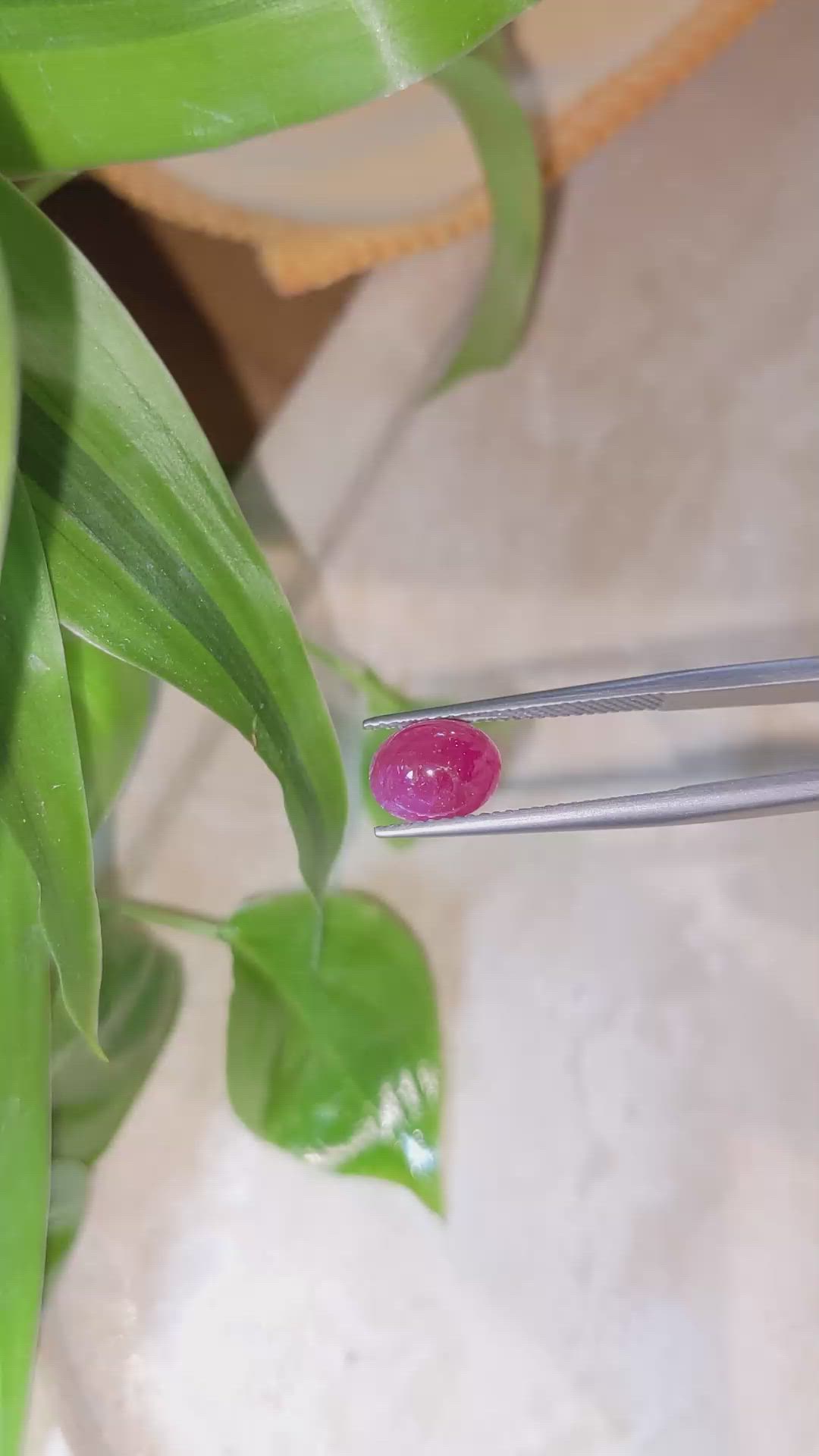 3.10 Ct. Cabochon Ruby from Burma (Myanmar) Size Video