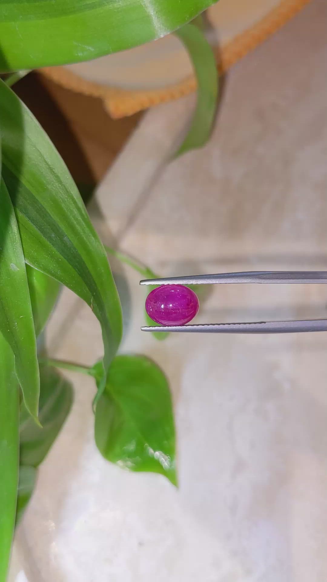 3.11 Ct. Cabochon Ruby from Burma (Myanmar) Size Video