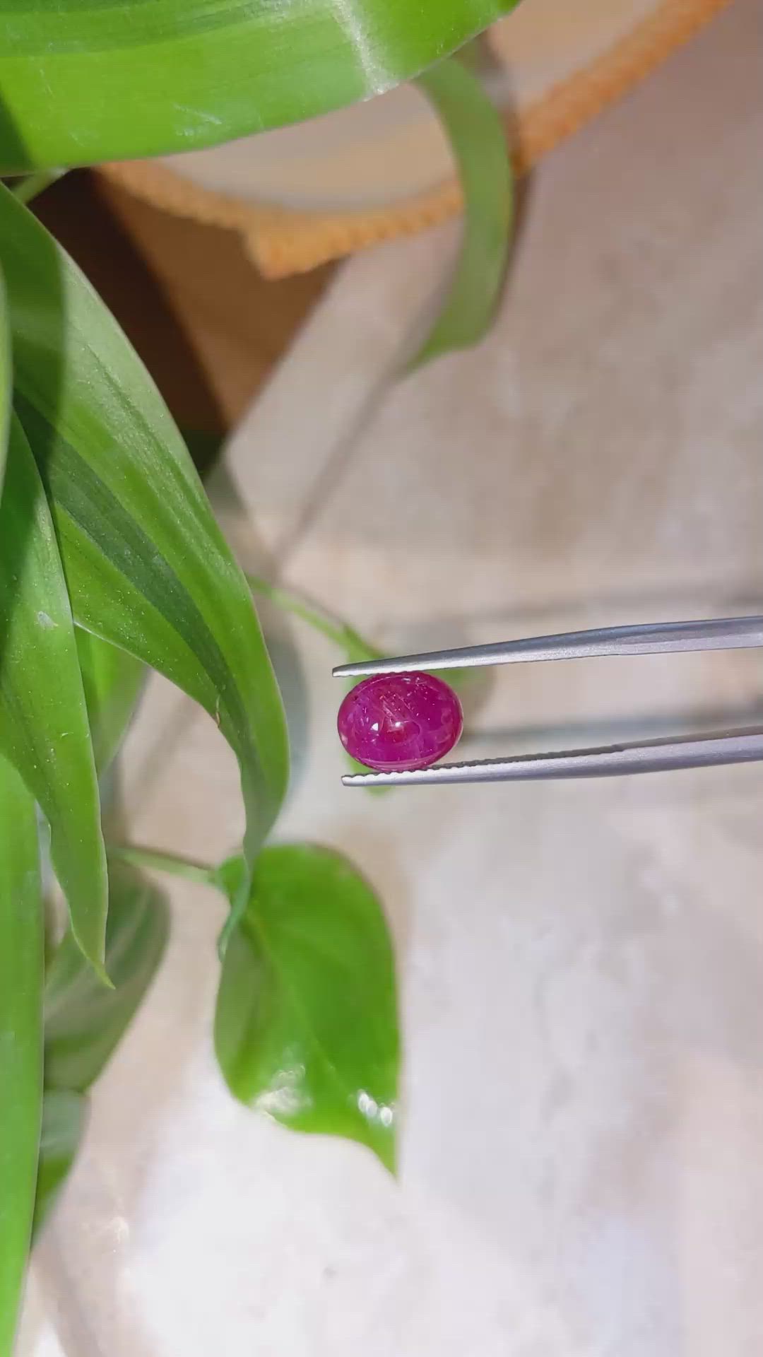 2.77 Ct. Cabochon Ruby from Burma (Myanmar) Size Video