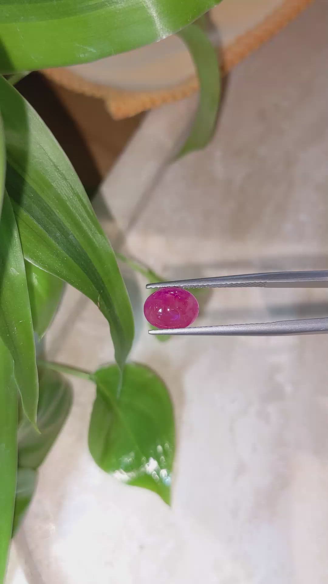 2.83 Ct. Cabochon Ruby from Burma (Myanmar) Size Video