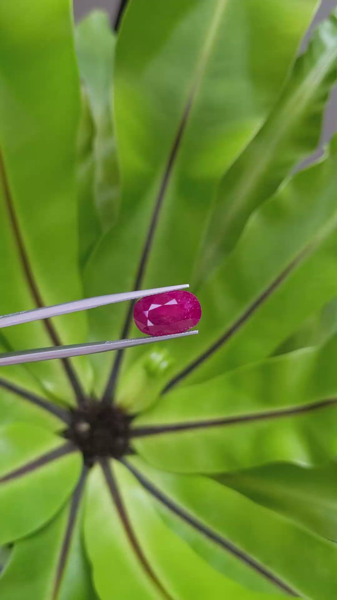 7.26 Ct. Ruby from Mozambique Size Video