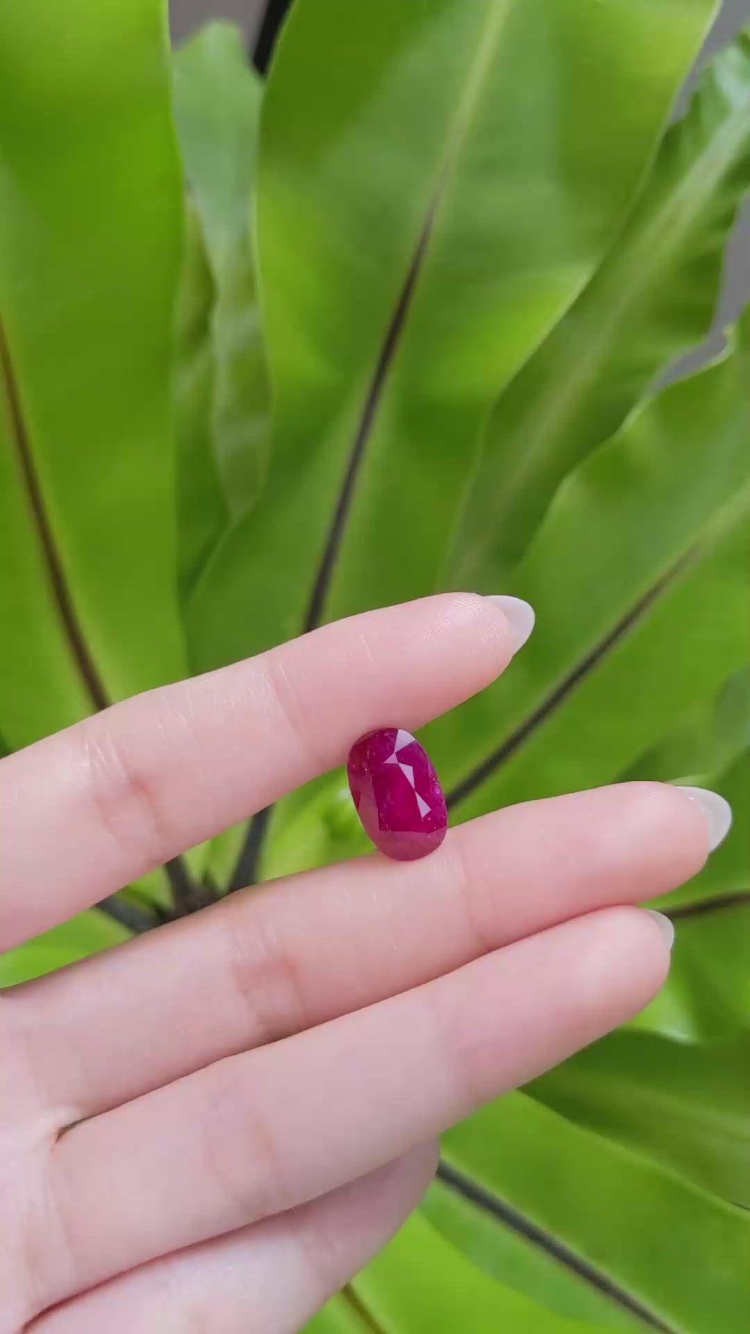 7.26 Ct. Ruby from Mozambique Size Video