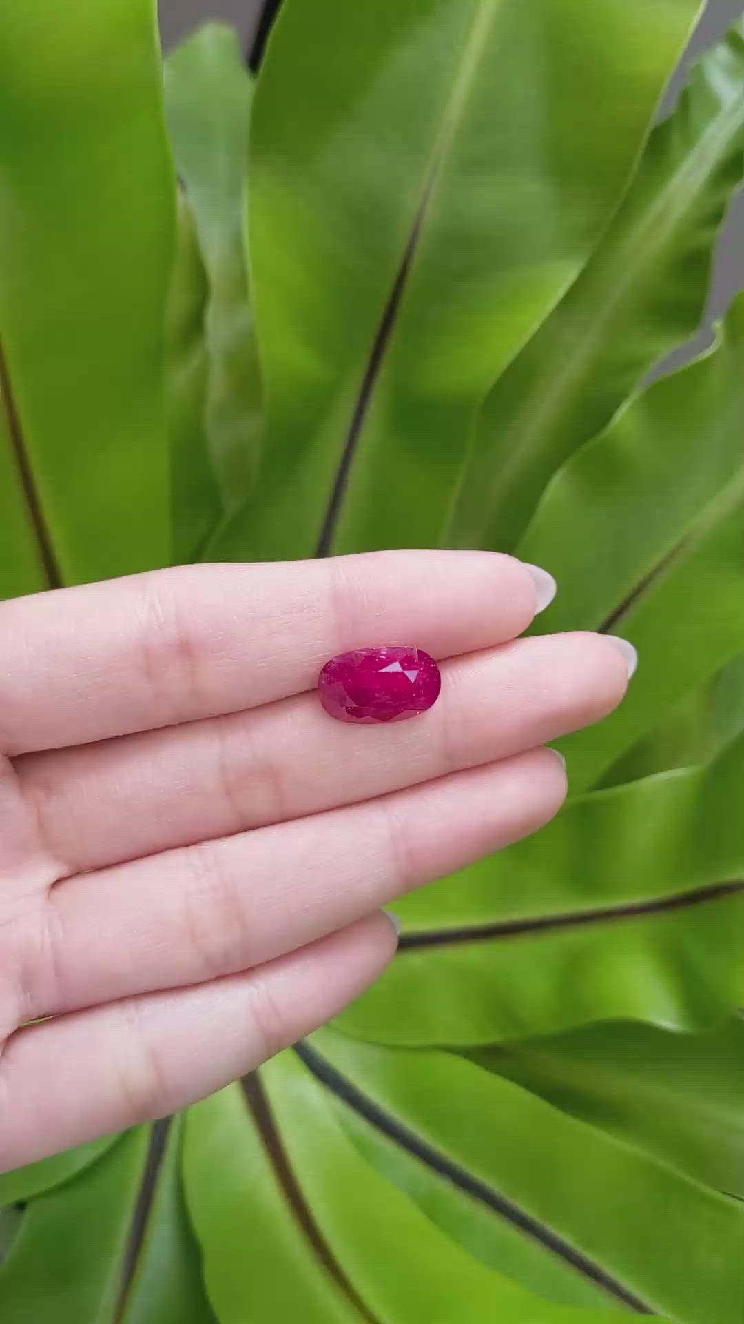 7.26 Ct. Ruby from Mozambique Size Video
