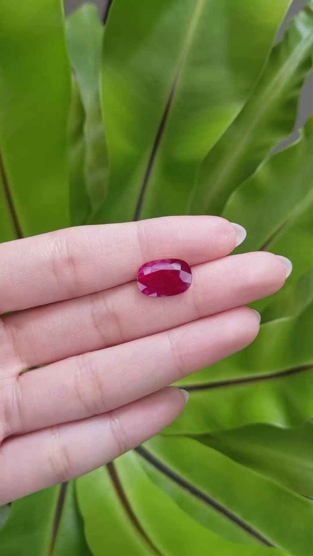 4.88 Ct. Ruby from Mozambique Size Video
