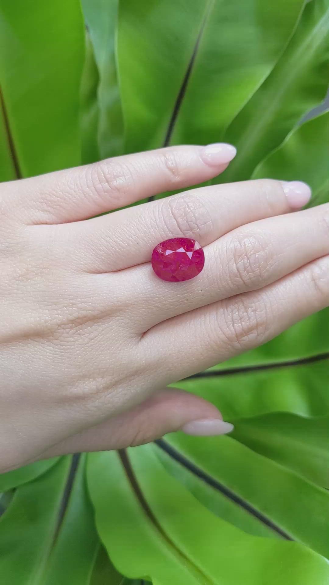 8.50 Ct. Ruby from Mozambique Size Video