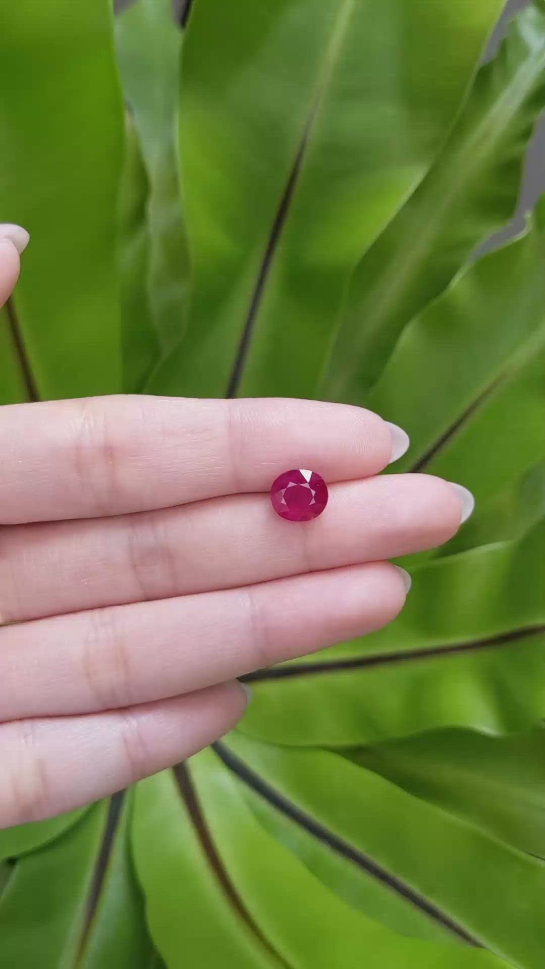 3.16 Ct. Ruby from Mozambique Size Video