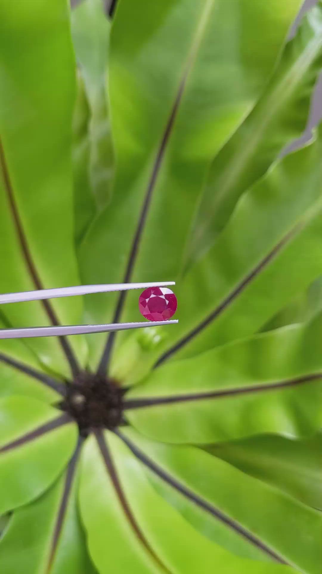3.16 Ct. Ruby from Mozambique Size Video