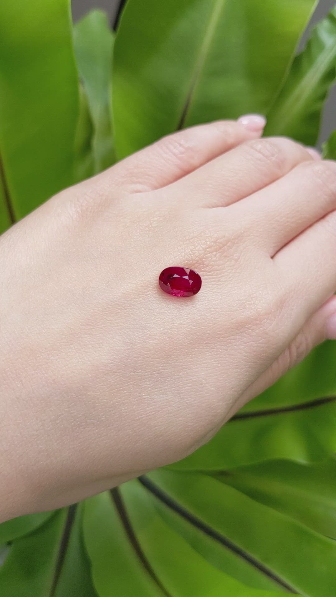 3.33 Ct. Ruby from Mozambique Size Video
