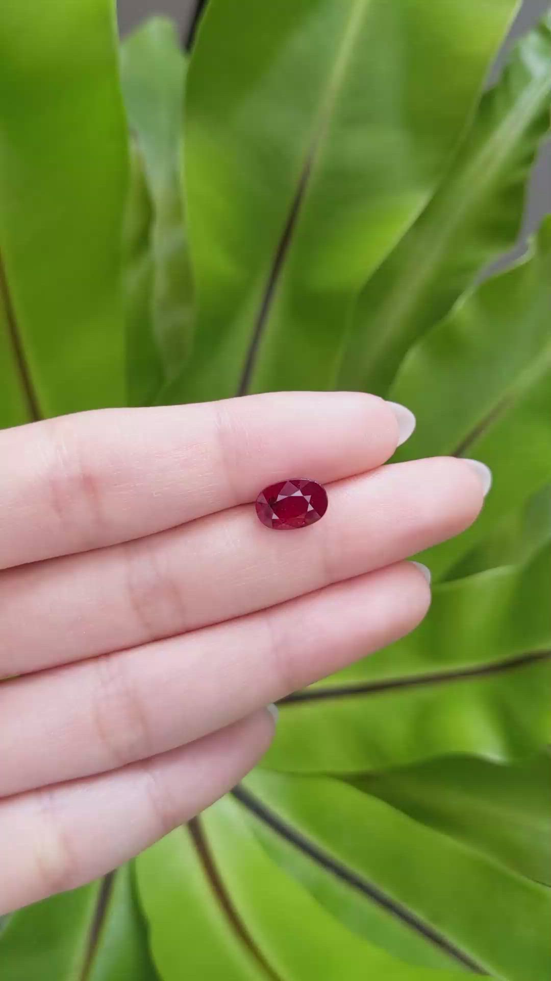 3.33 Ct. Ruby from Mozambique Size Video