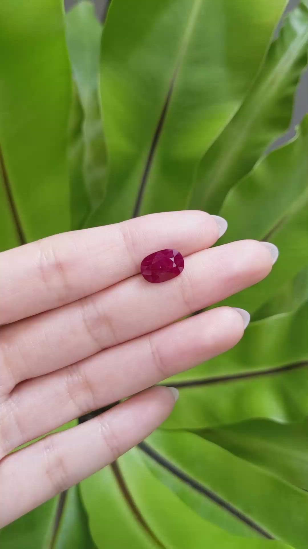 3.38 Ct. Ruby from Mozambique Size Video