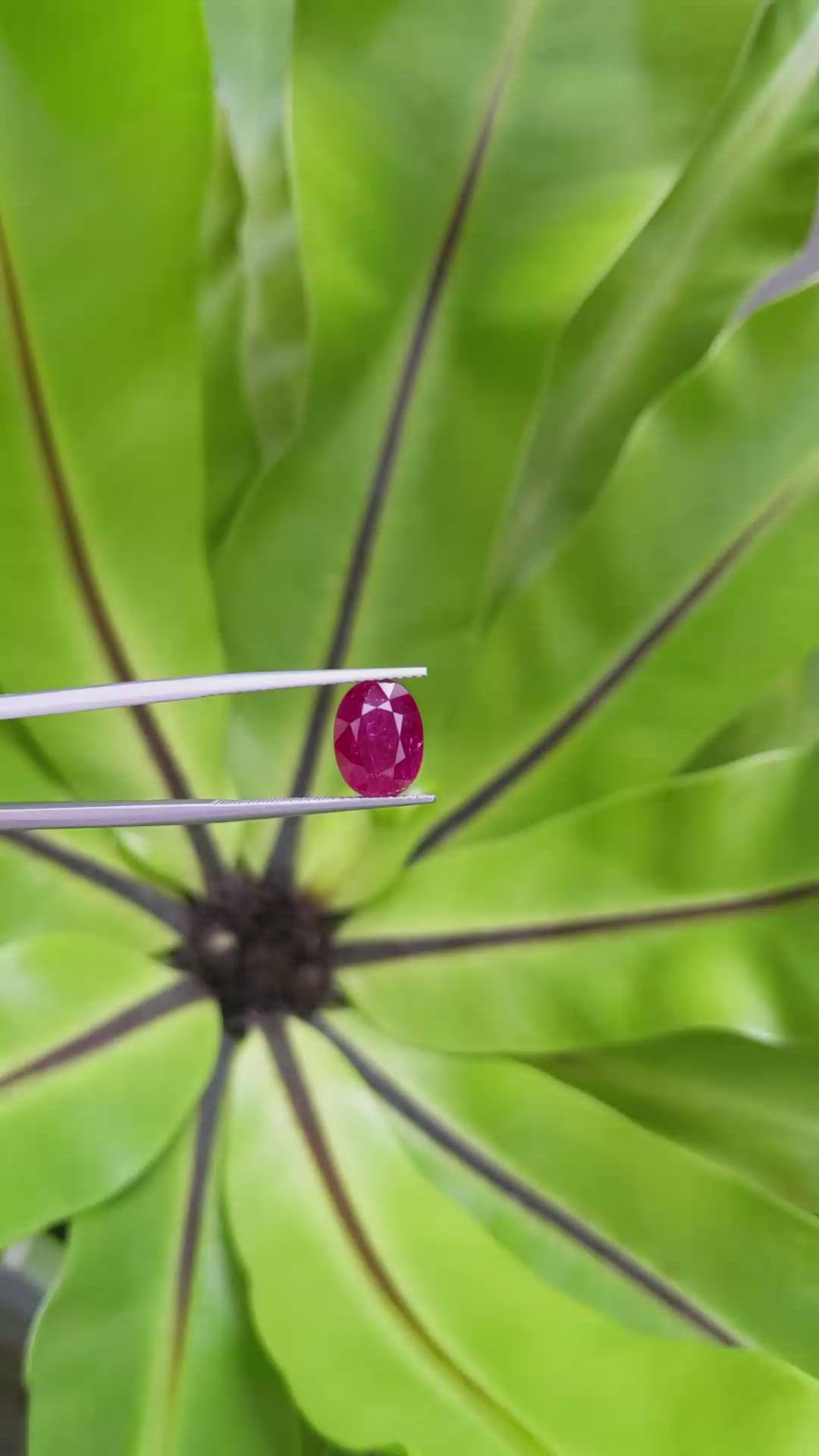 4.14 Ct. Ruby from Mozambique Size Video
