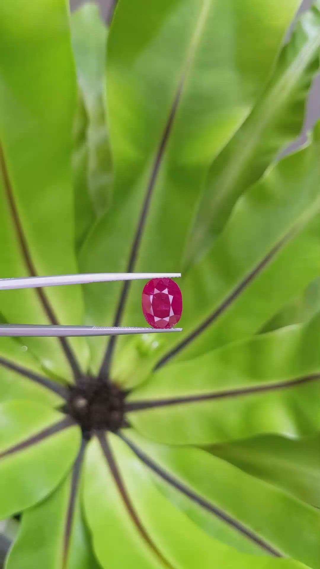 5.03 Ct. Ruby from Mozambique Size Video