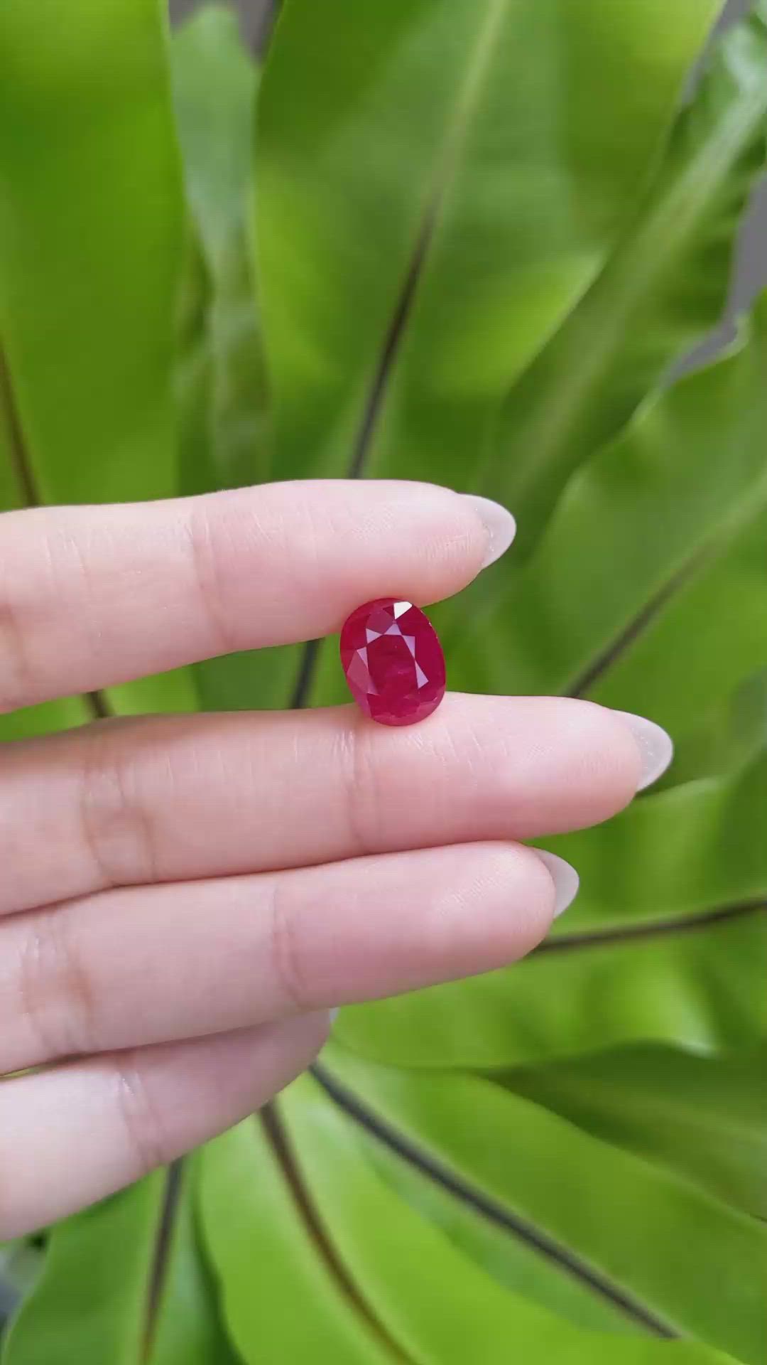 5.03 Ct. Ruby from Mozambique Size Video