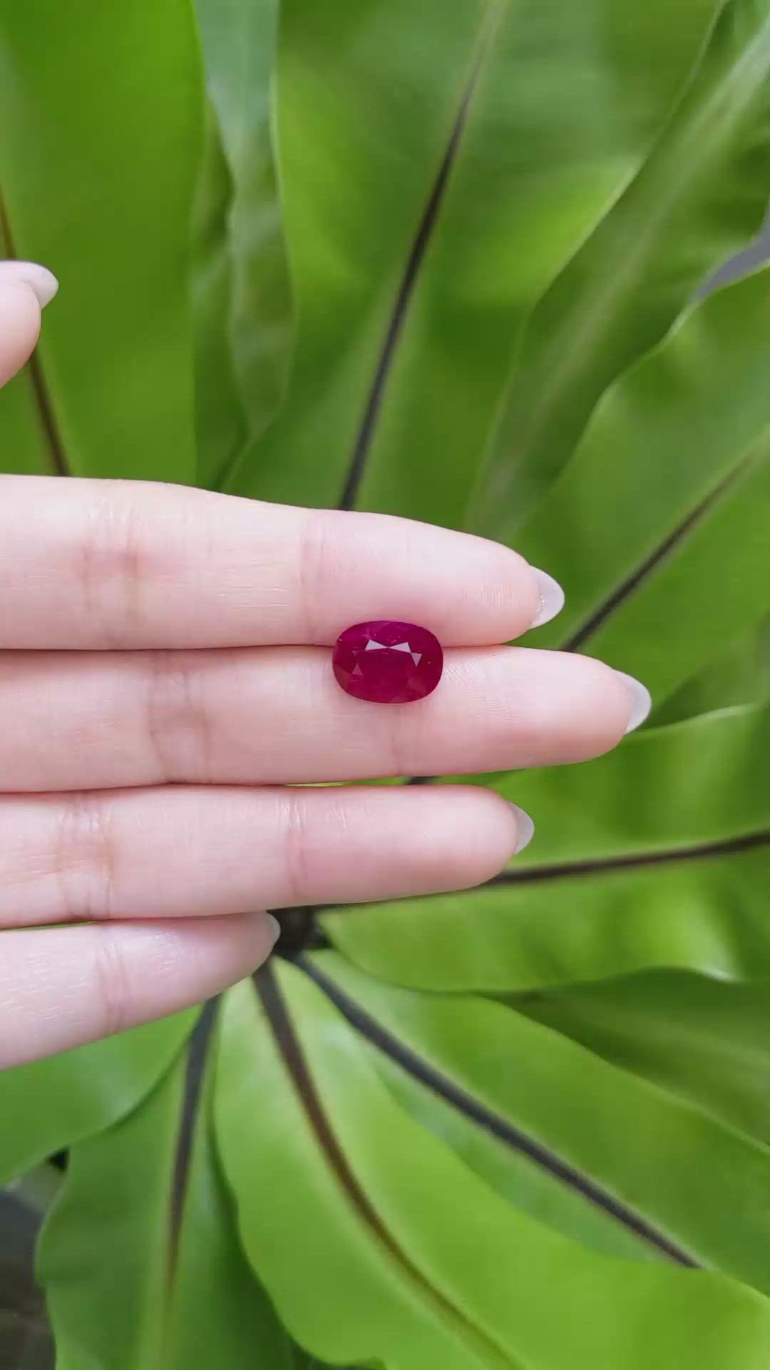 3.94 Ct. Ruby from Mozambique Size Video