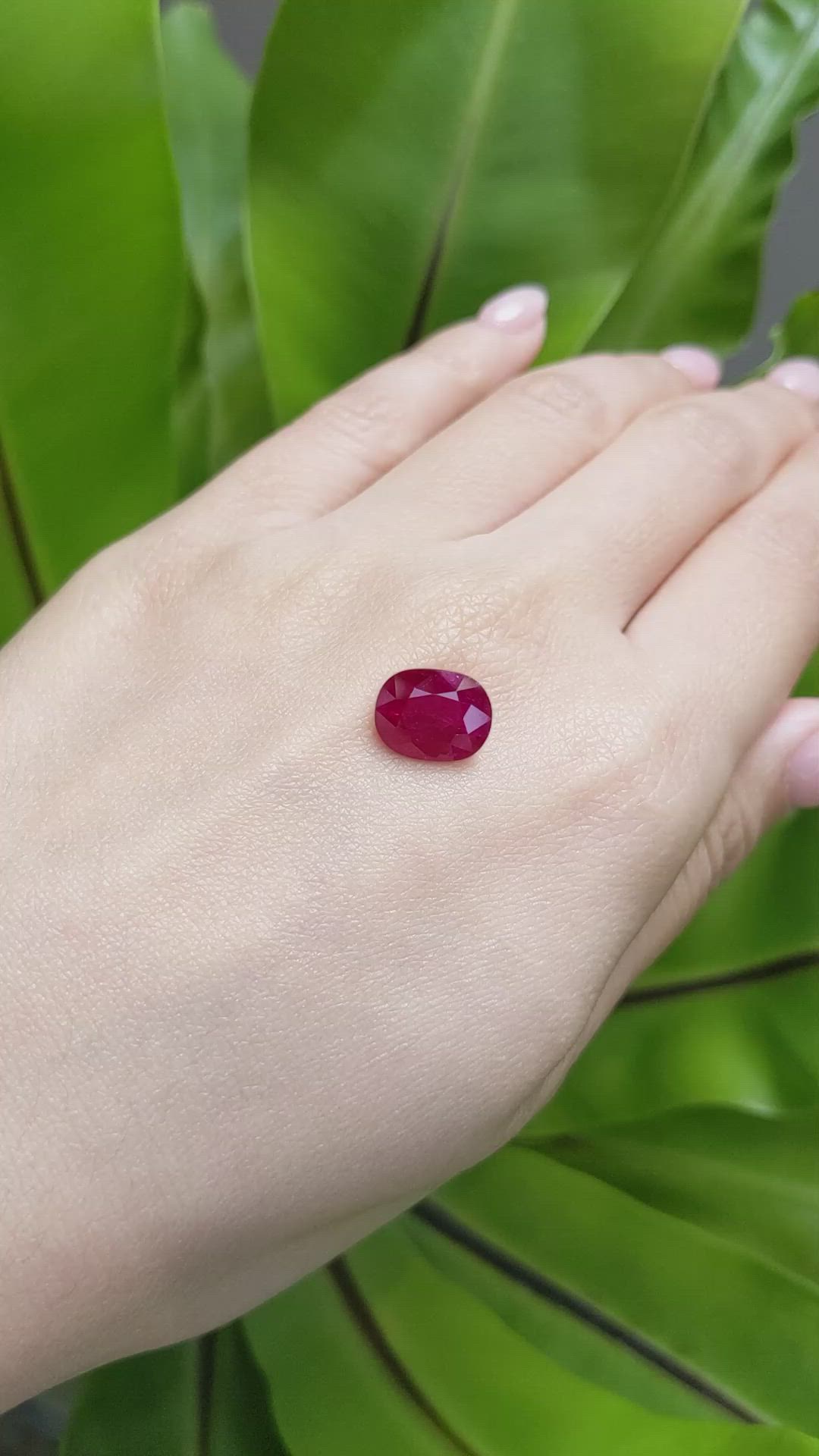4.62 Ct. Ruby from Mozambique Size Video