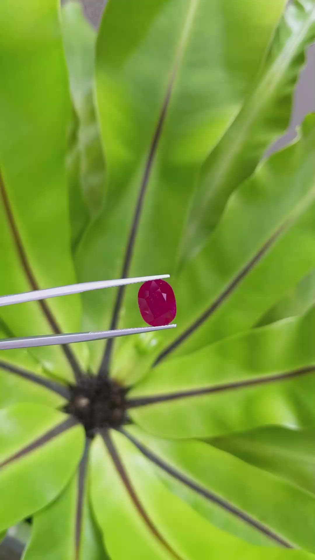 4.62 Ct. Ruby from Mozambique Size Video