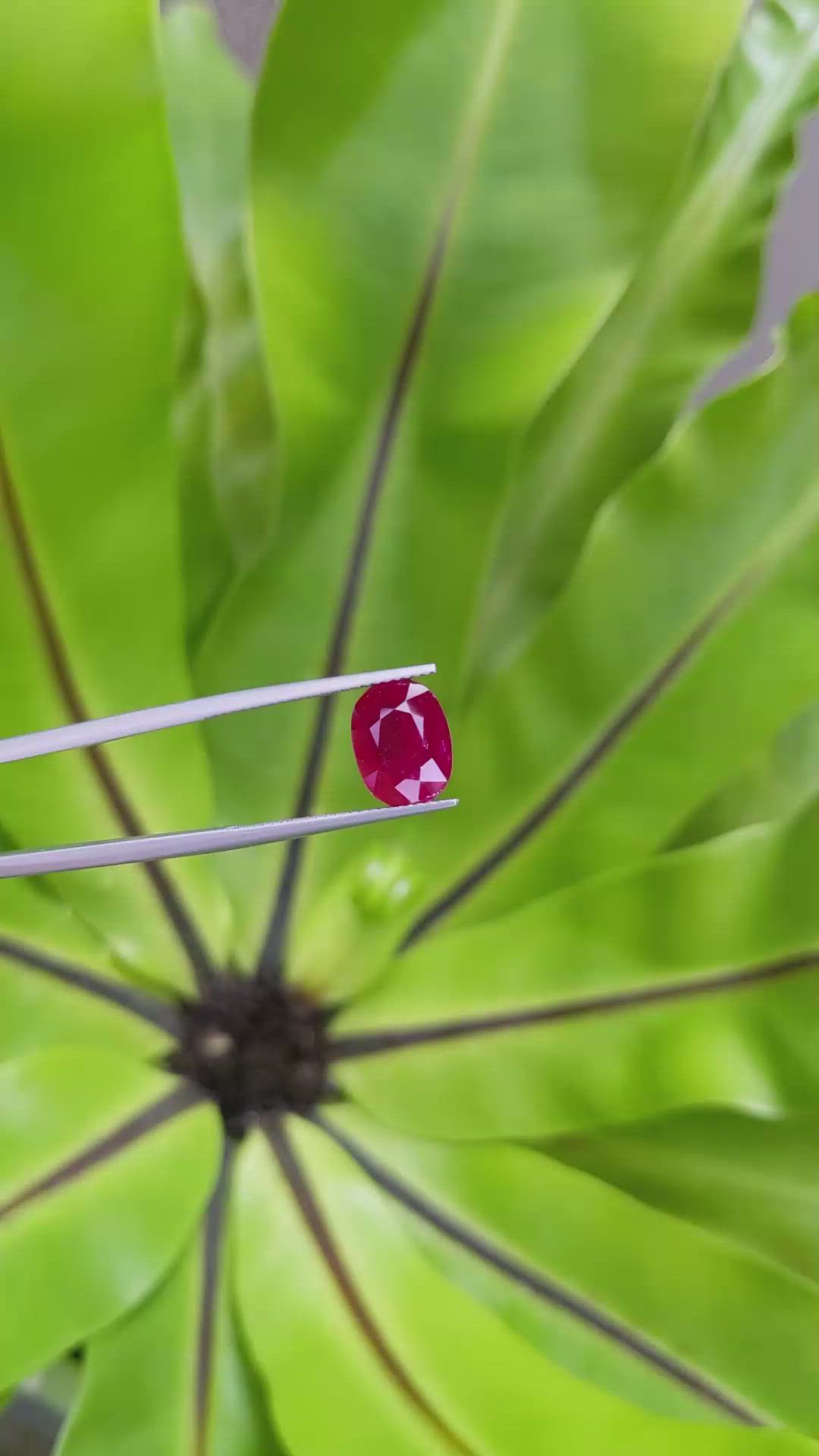 3.29 Ct. Ruby from Mozambique Size Video