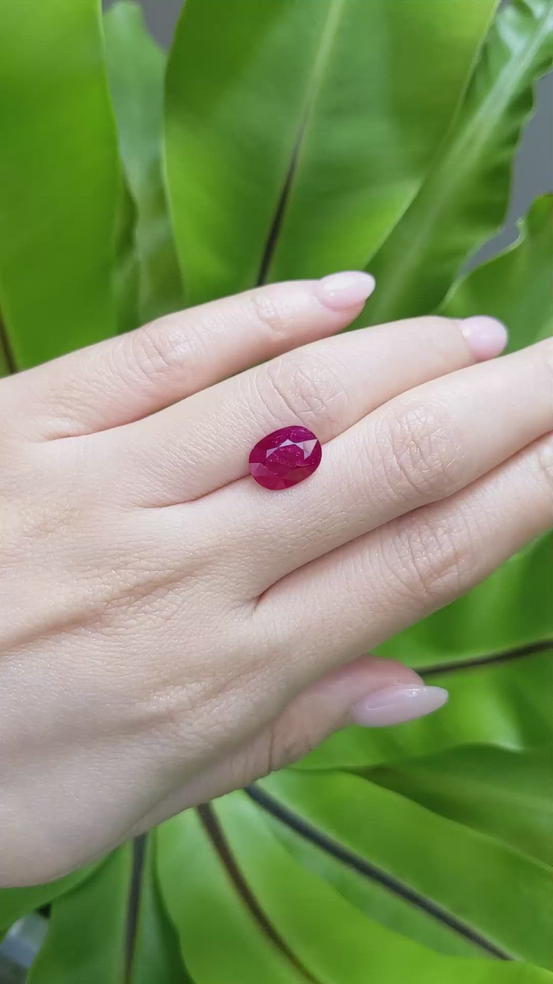 3.29 Ct. Ruby from Mozambique Size Video