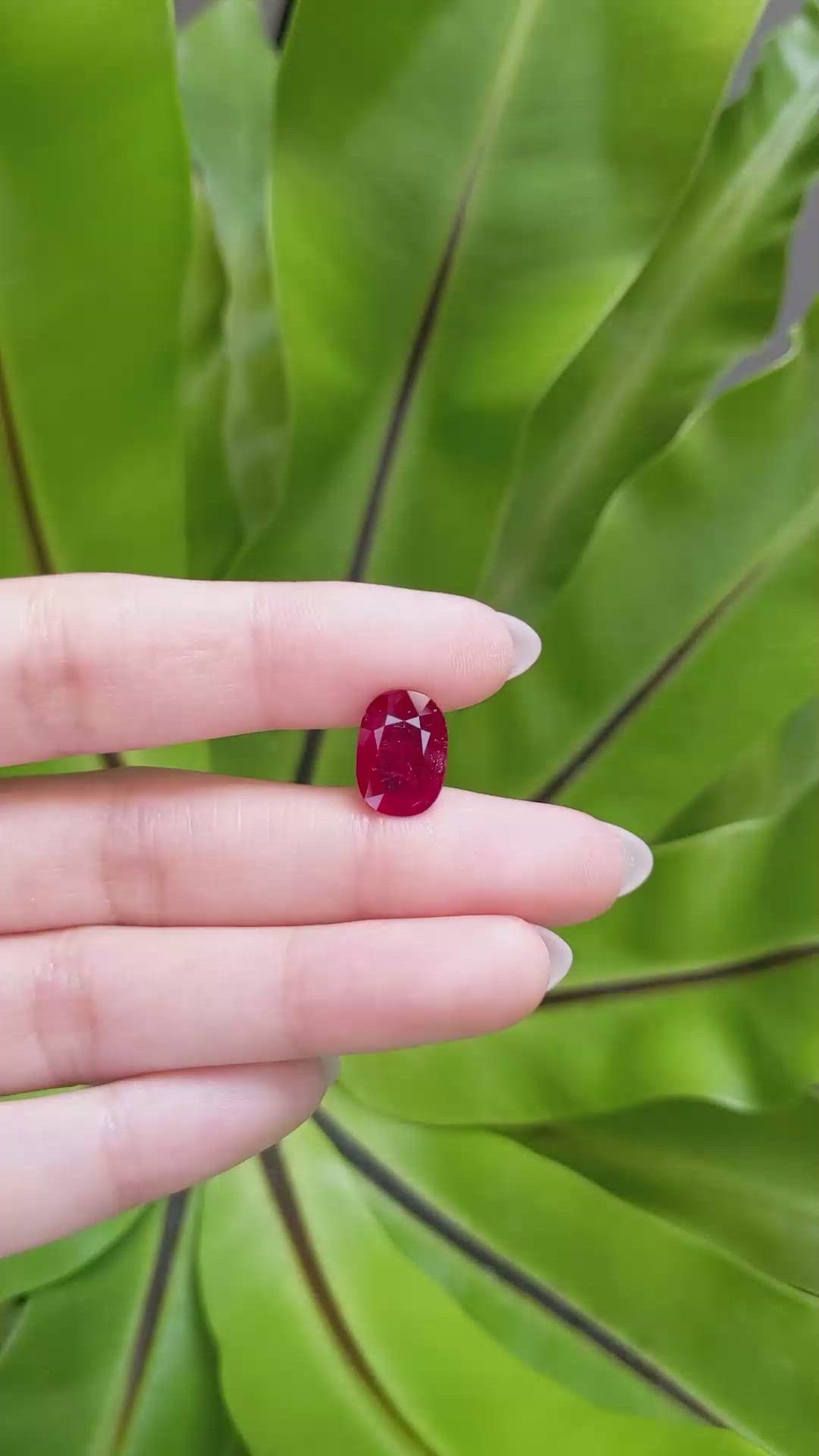 4.92 Ct. Ruby from Mozambique Size Video