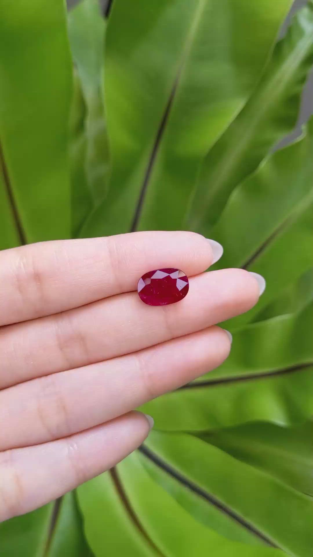 4.92 Ct. Ruby from Mozambique Size Video