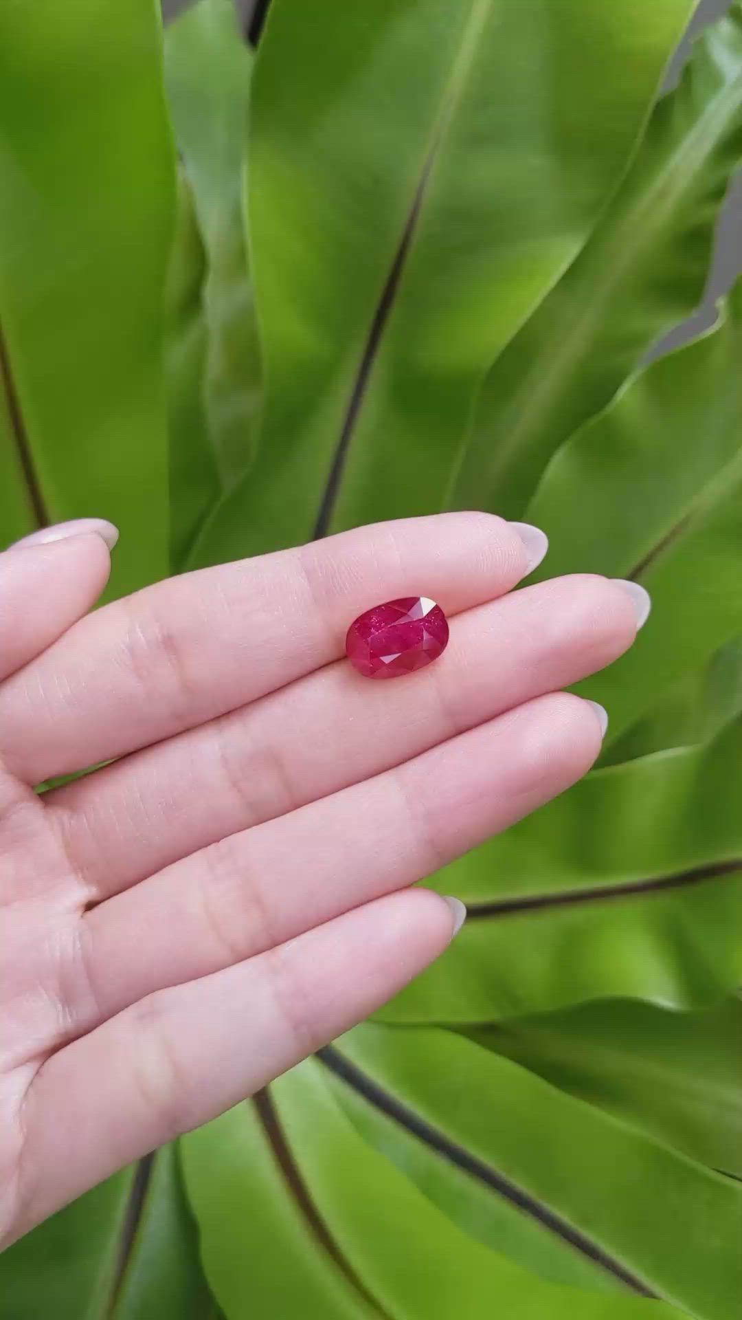 5.86 Ct. Ruby from Mozambique Size Video