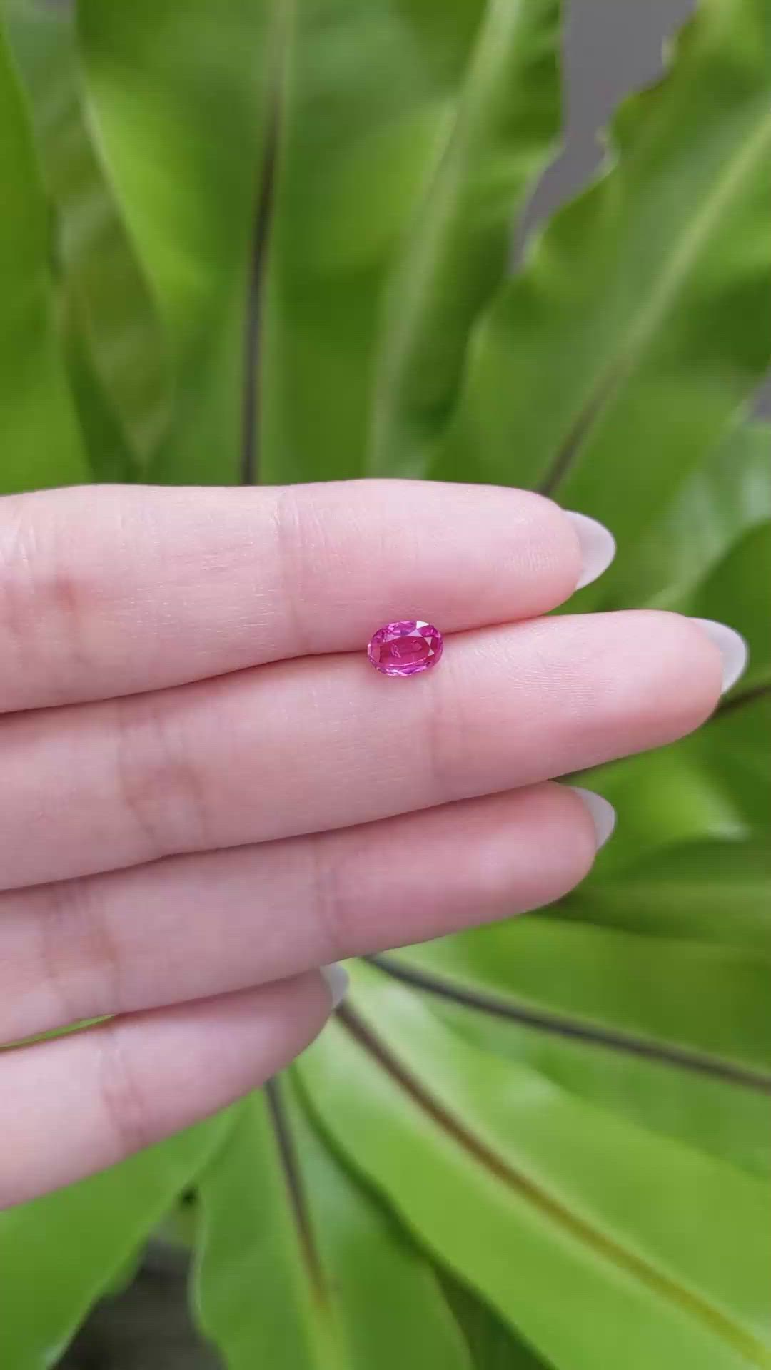 0.82 Ct. Ruby from Mozambique Size Video