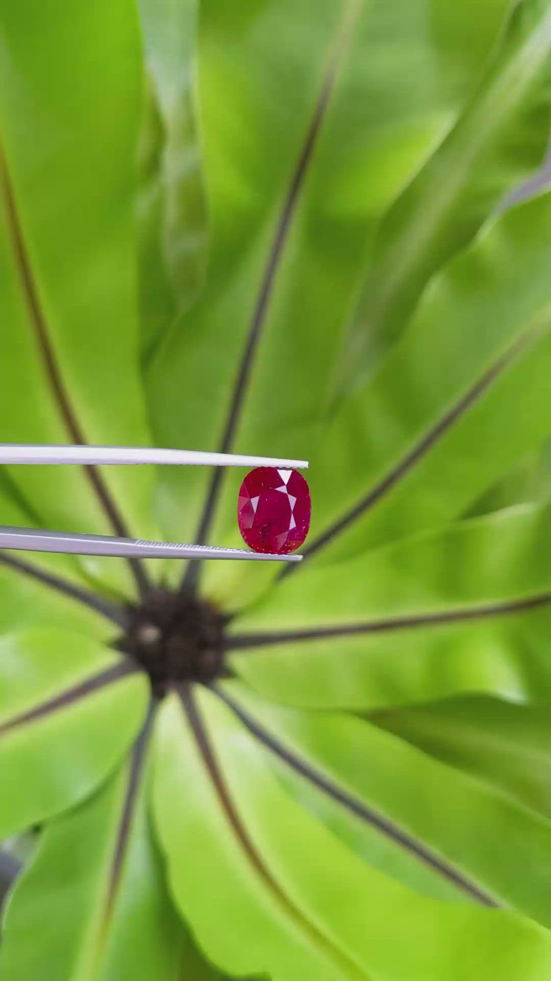 4.00 Ct. Ruby from Mozambique Size Video