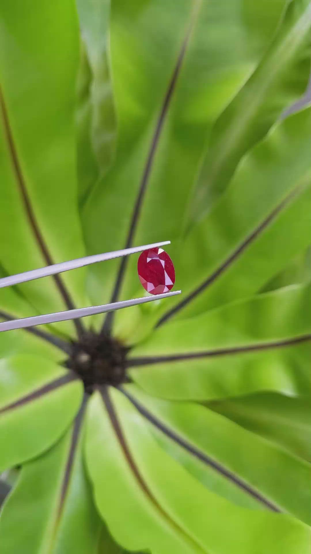 3.40 Ct. Ruby from Mozambique Size Video