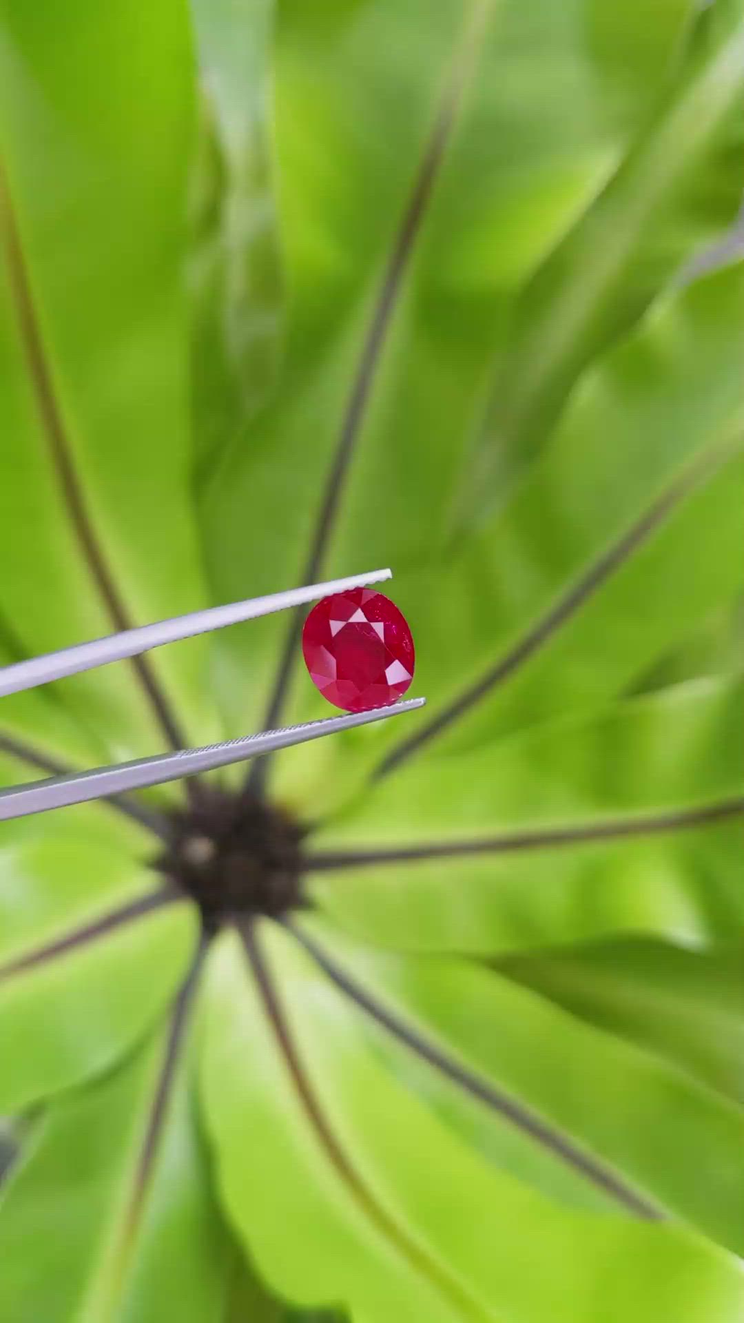 3.63 Ct. Ruby from Mozambique Size Video