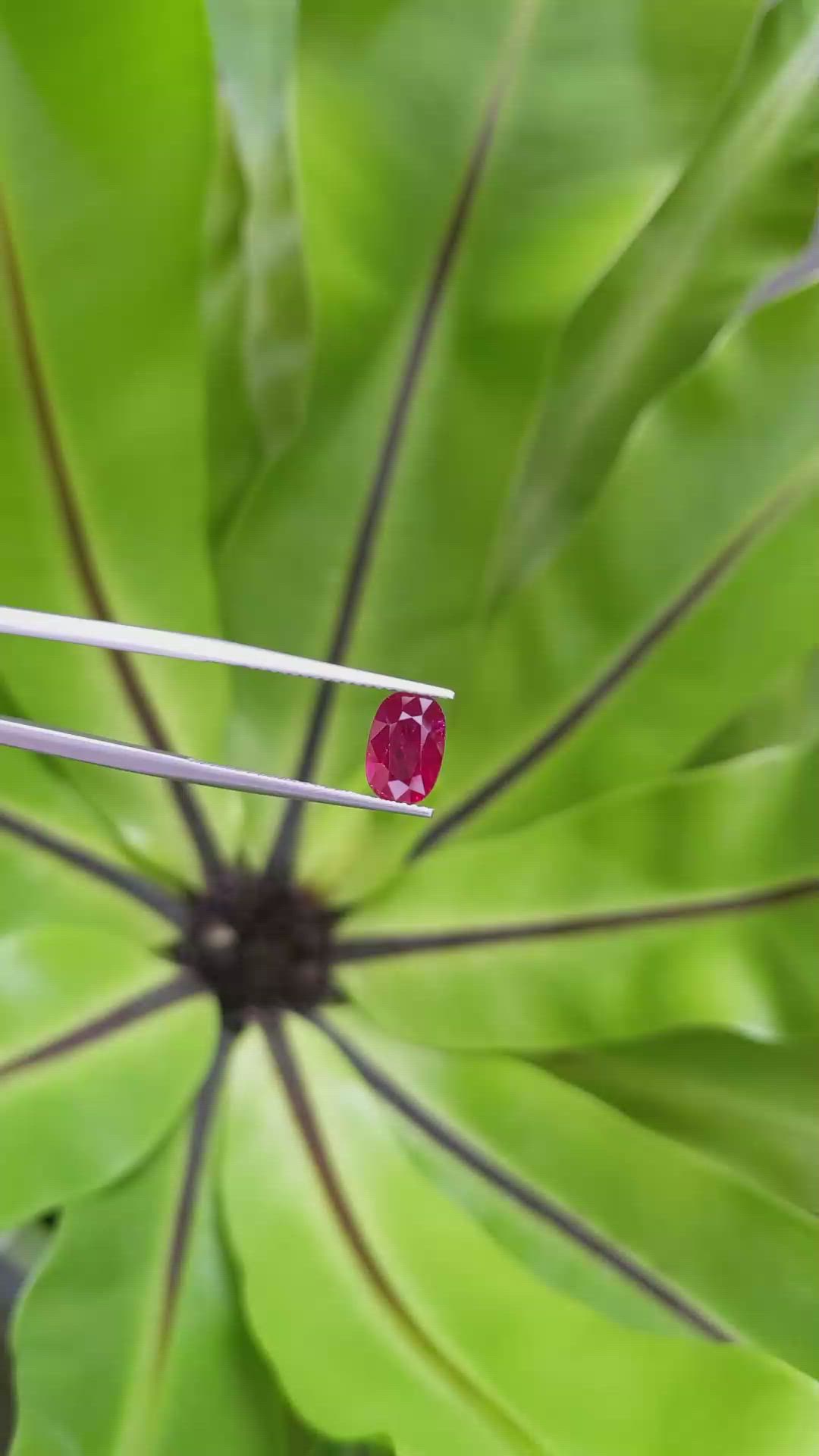 2.18 Ct. Ruby from Mozambique Size Video